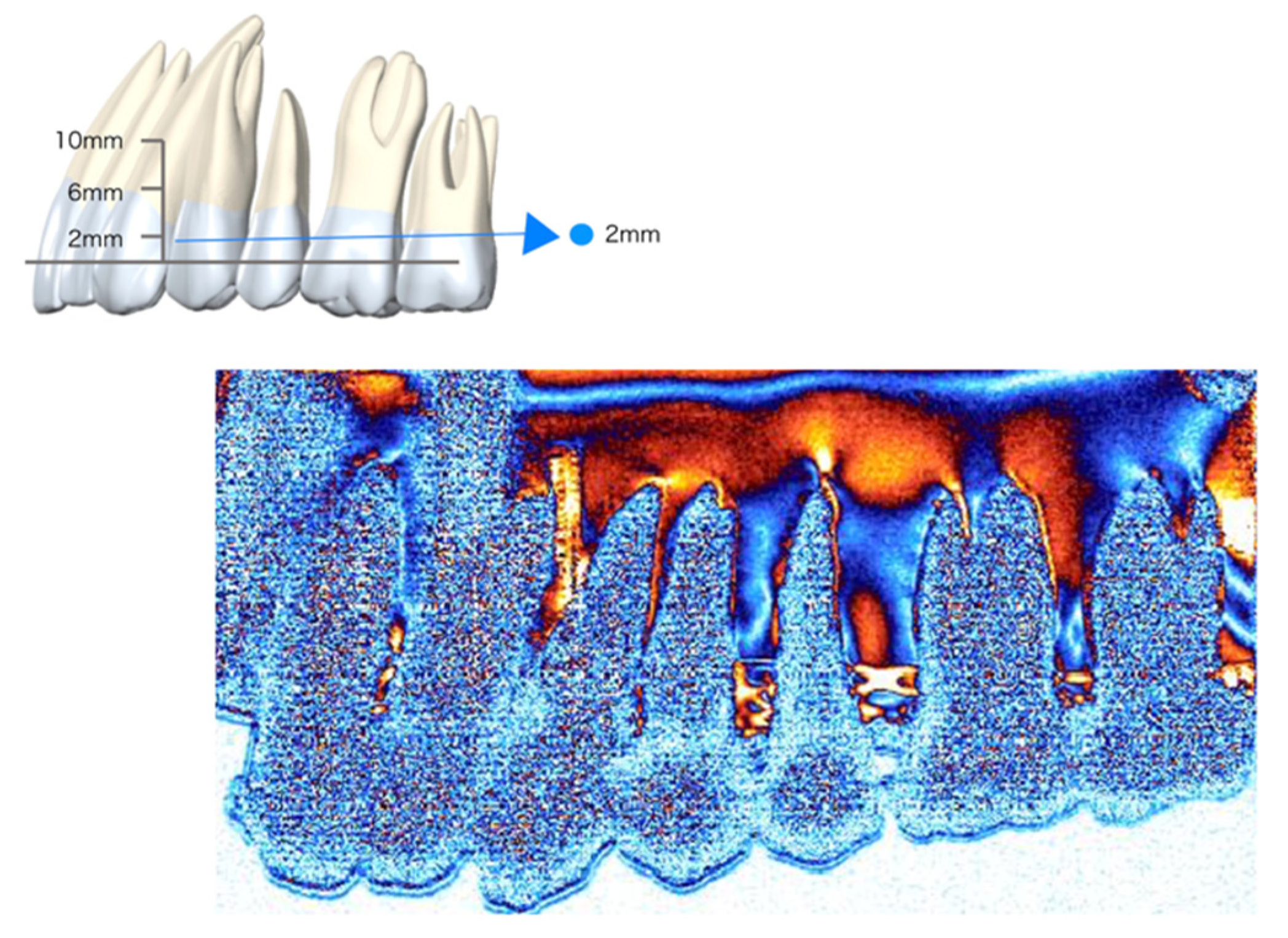 Applsci 12 01949 g005 Applsci 12 01949 g005