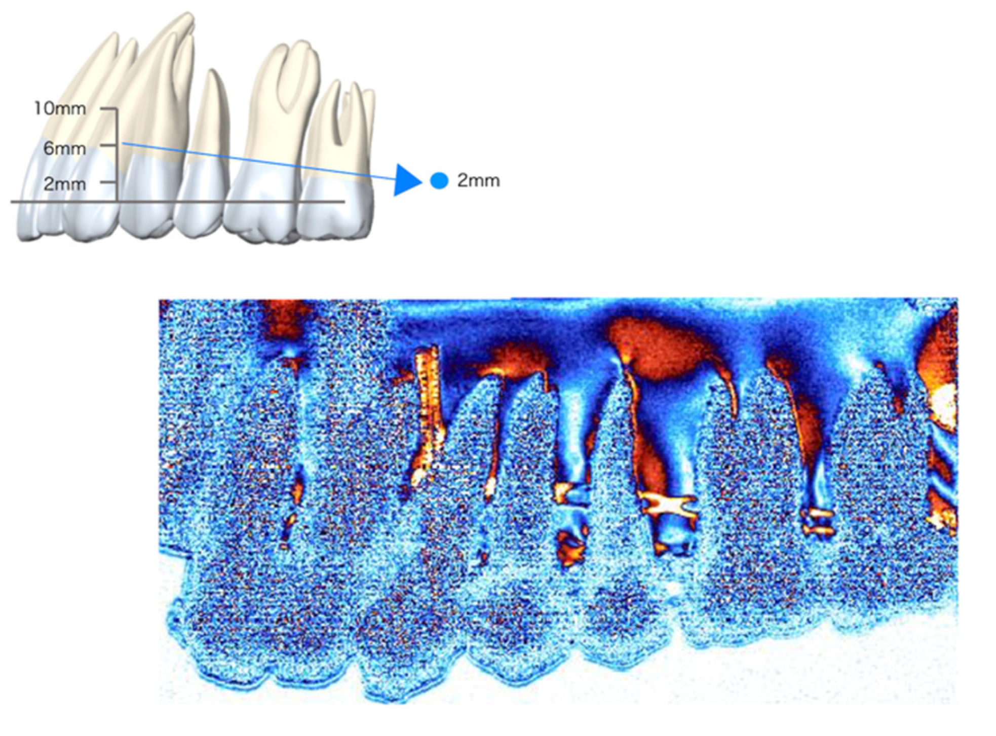 Applsci 12 01949 g006 Applsci 12 01949 g006