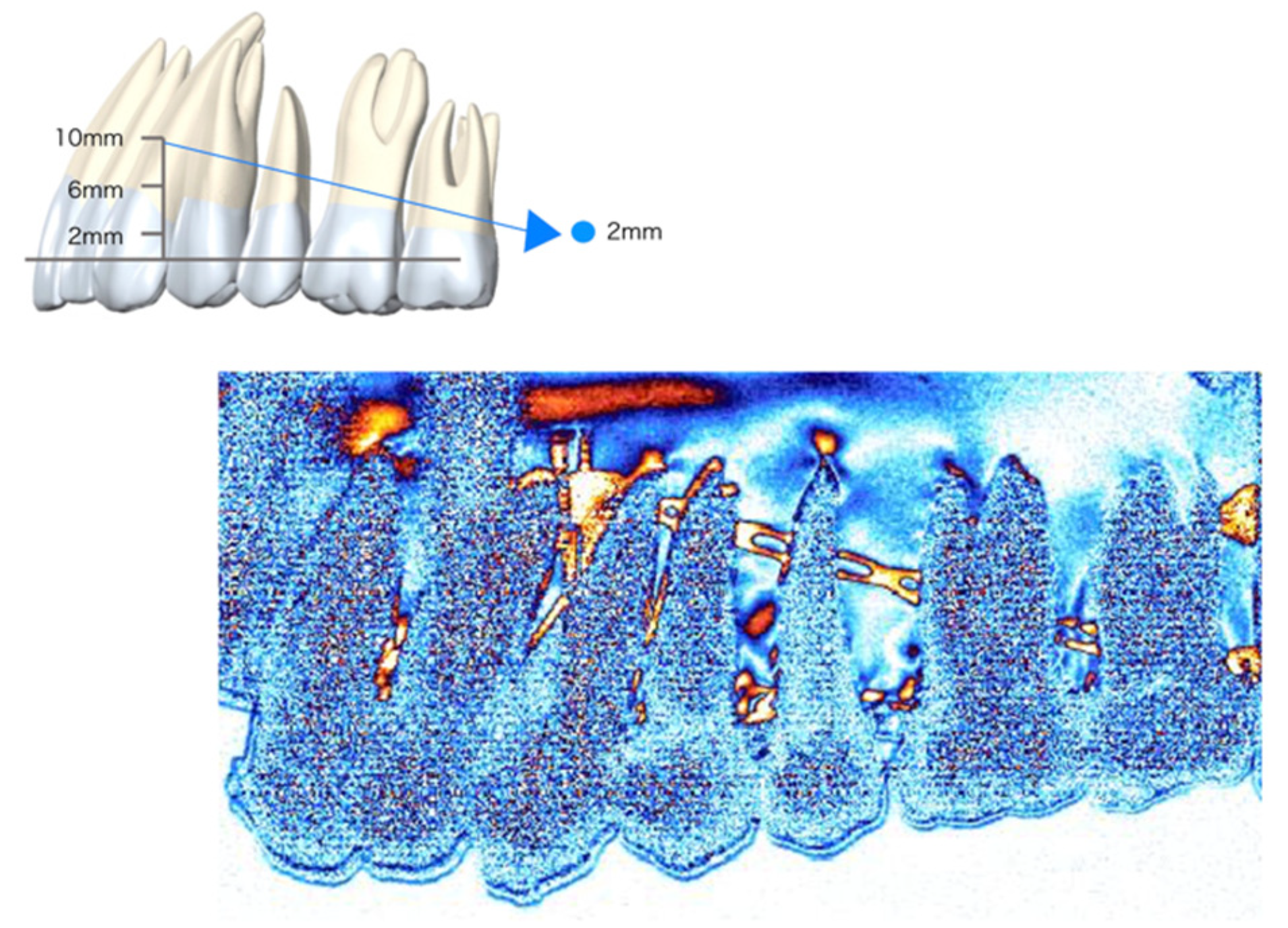 Applsci 12 01949 g007 Applsci 12 01949 g007