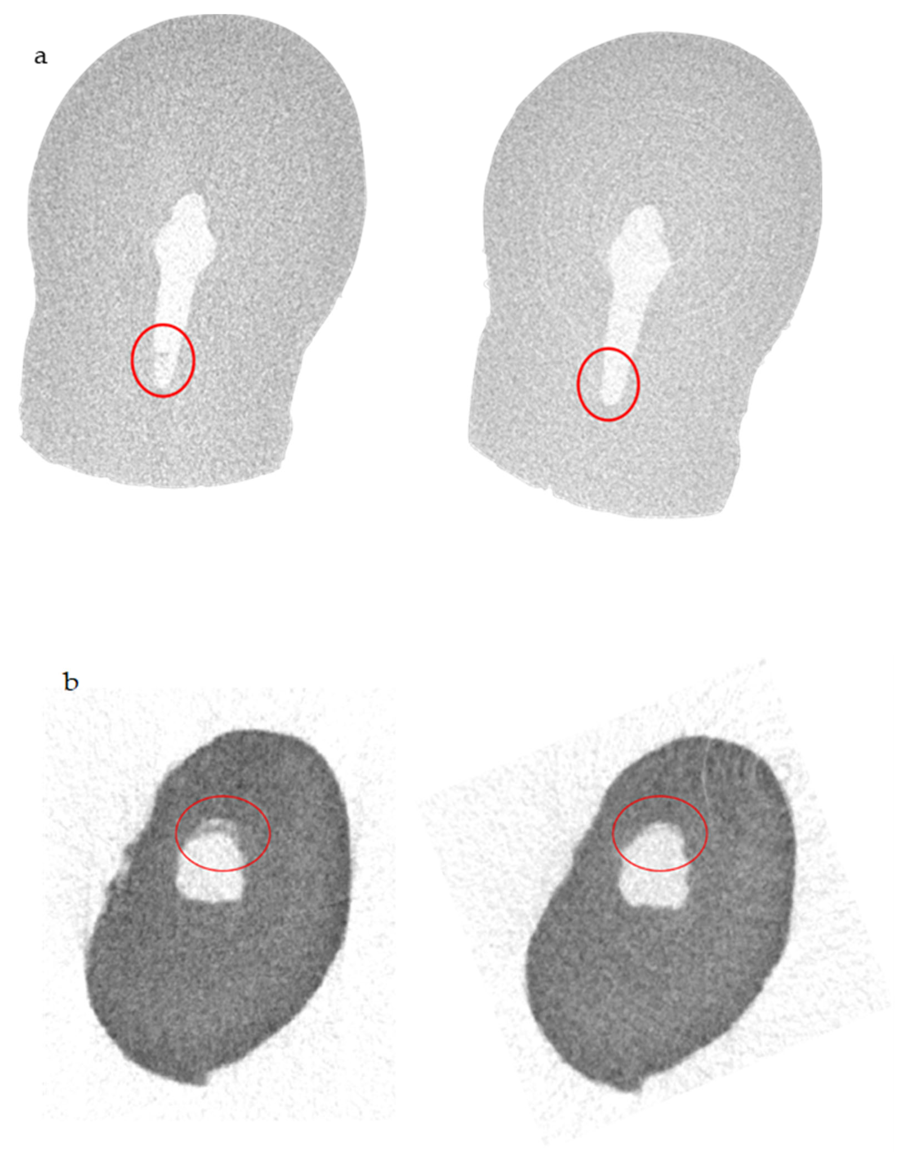 Applsci 12 01969 g003