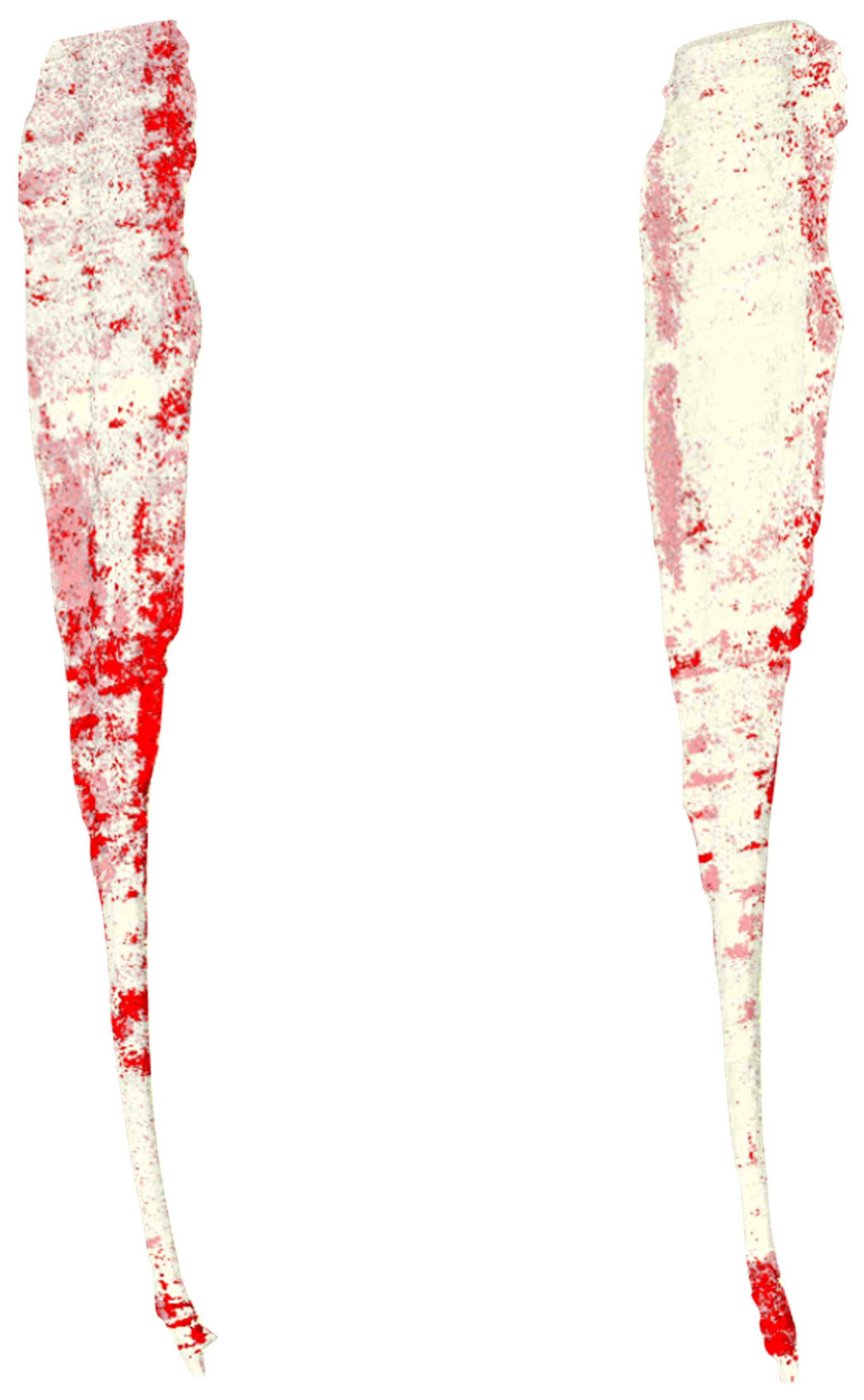 Applsci 12 01969 g004