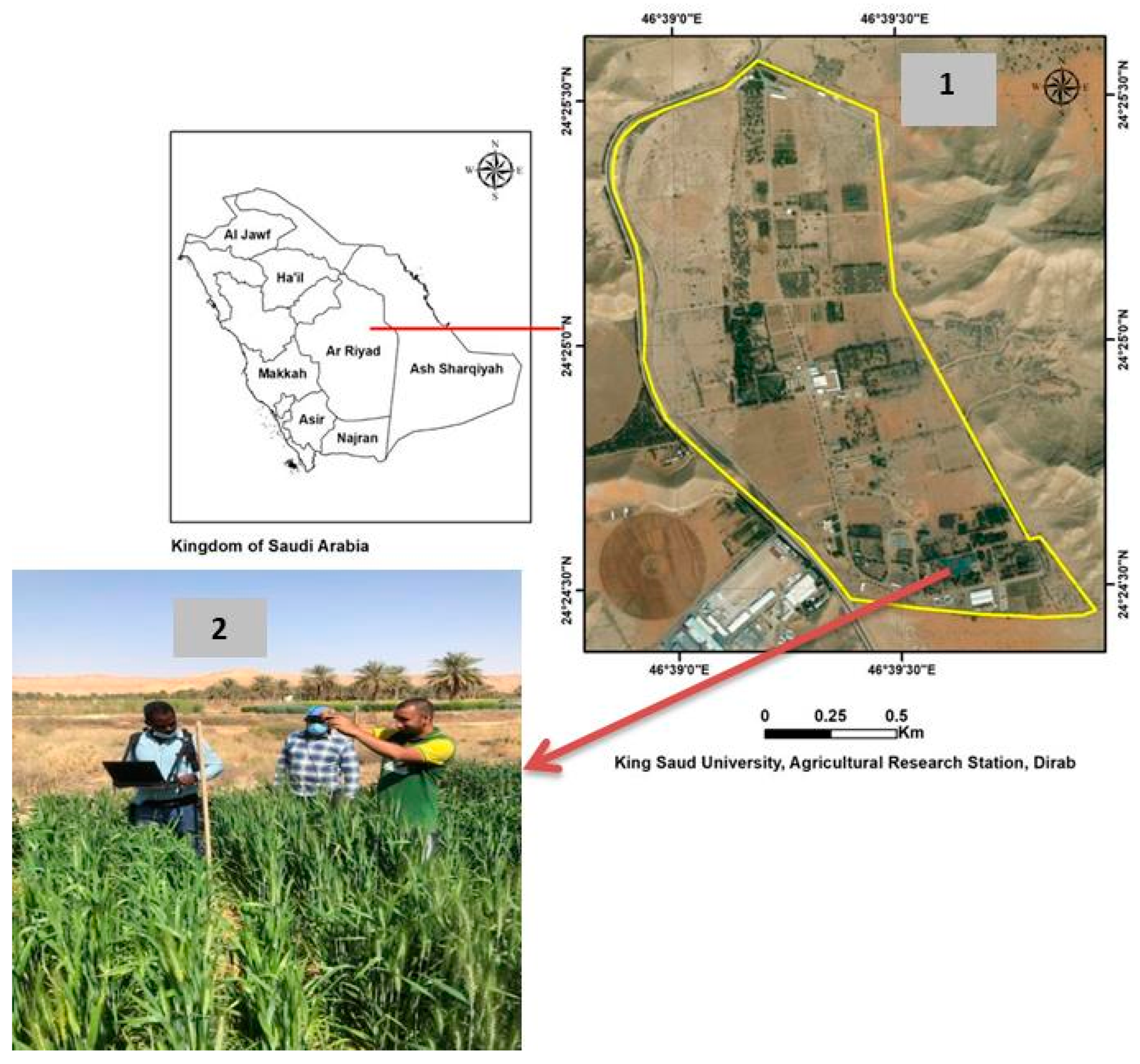 Applsci 12 01983 g001 550