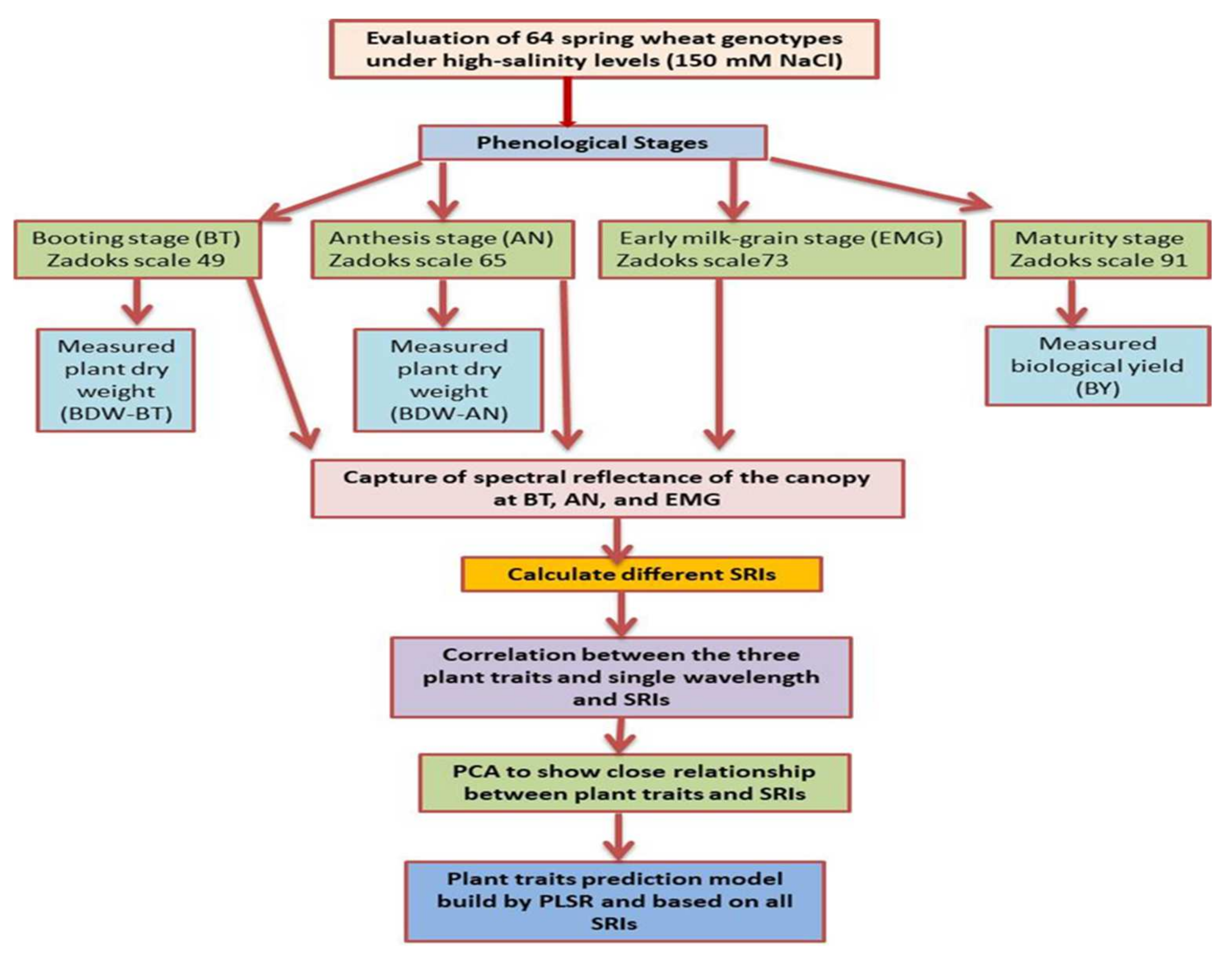 Applsci 12 01983 g002 550