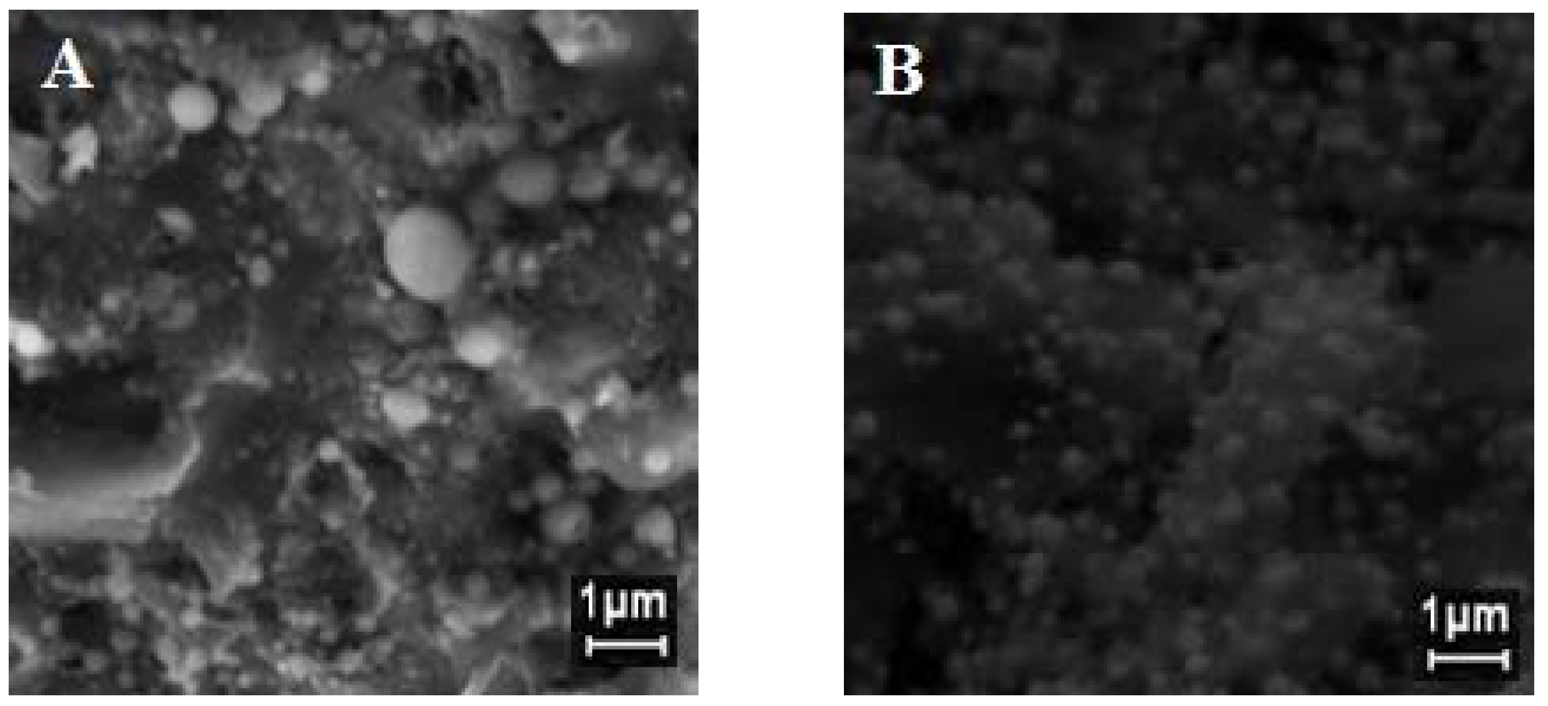 Applsci 12 01998 g009