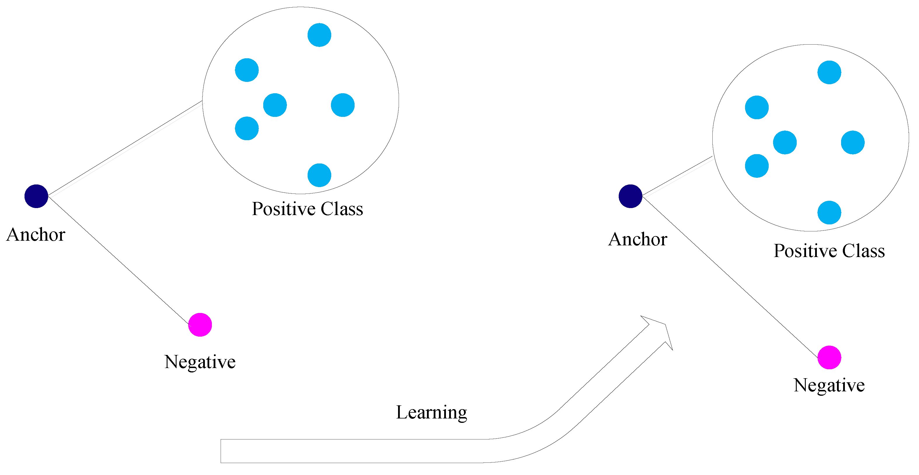 Applsci 12 02006 g002