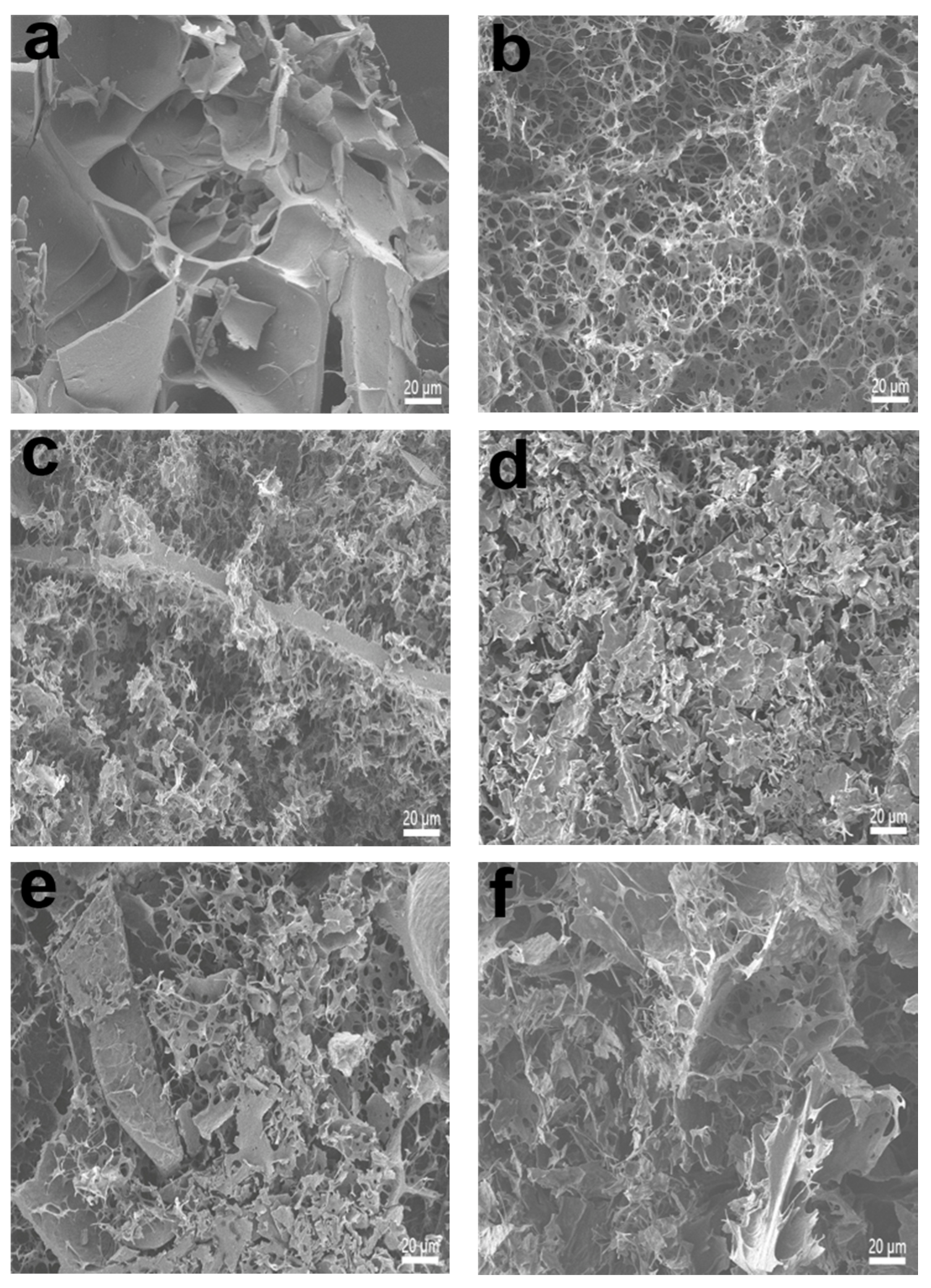 Applsci 12 02017 g002