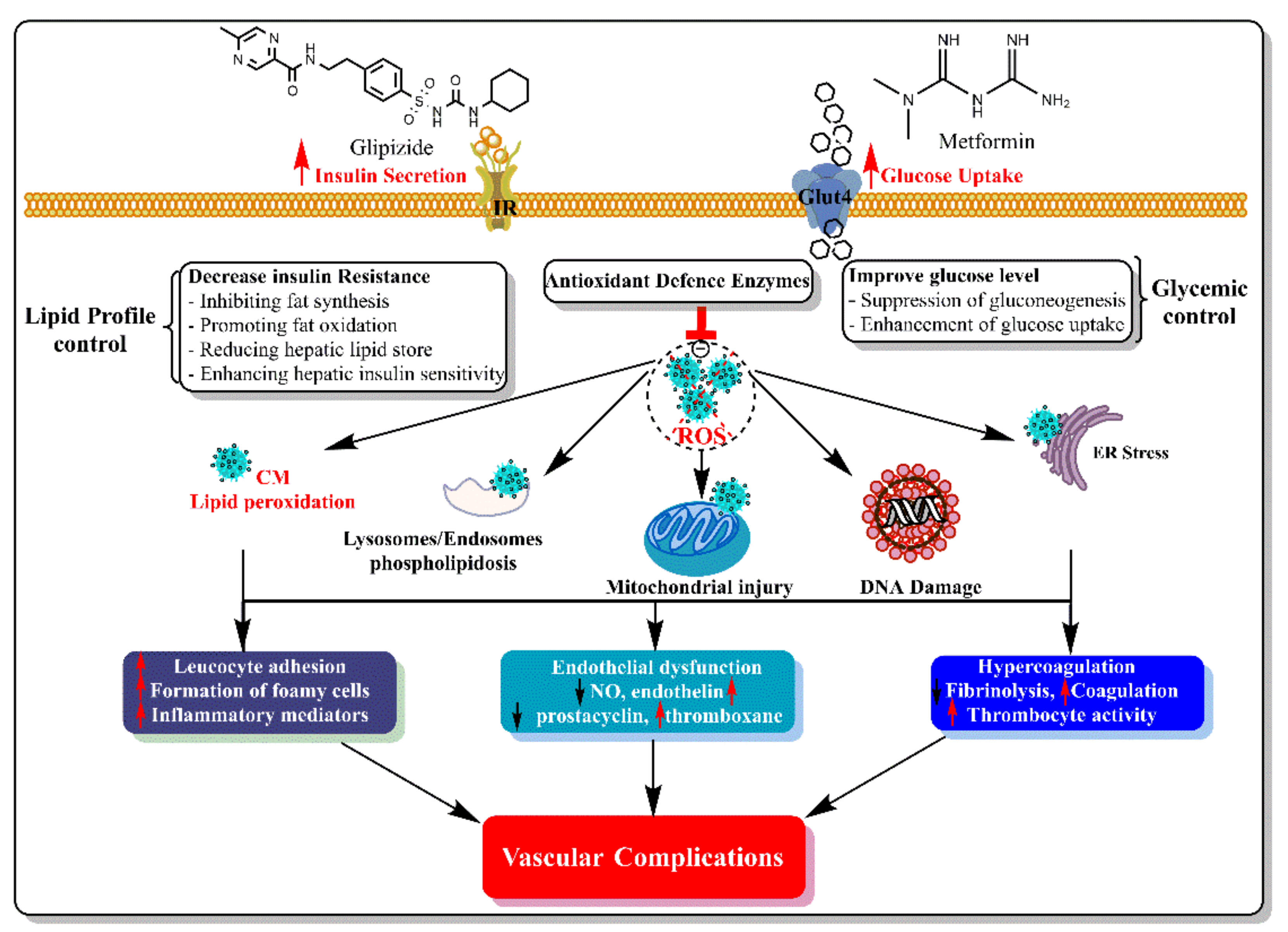 Applsci 12 02019 g008