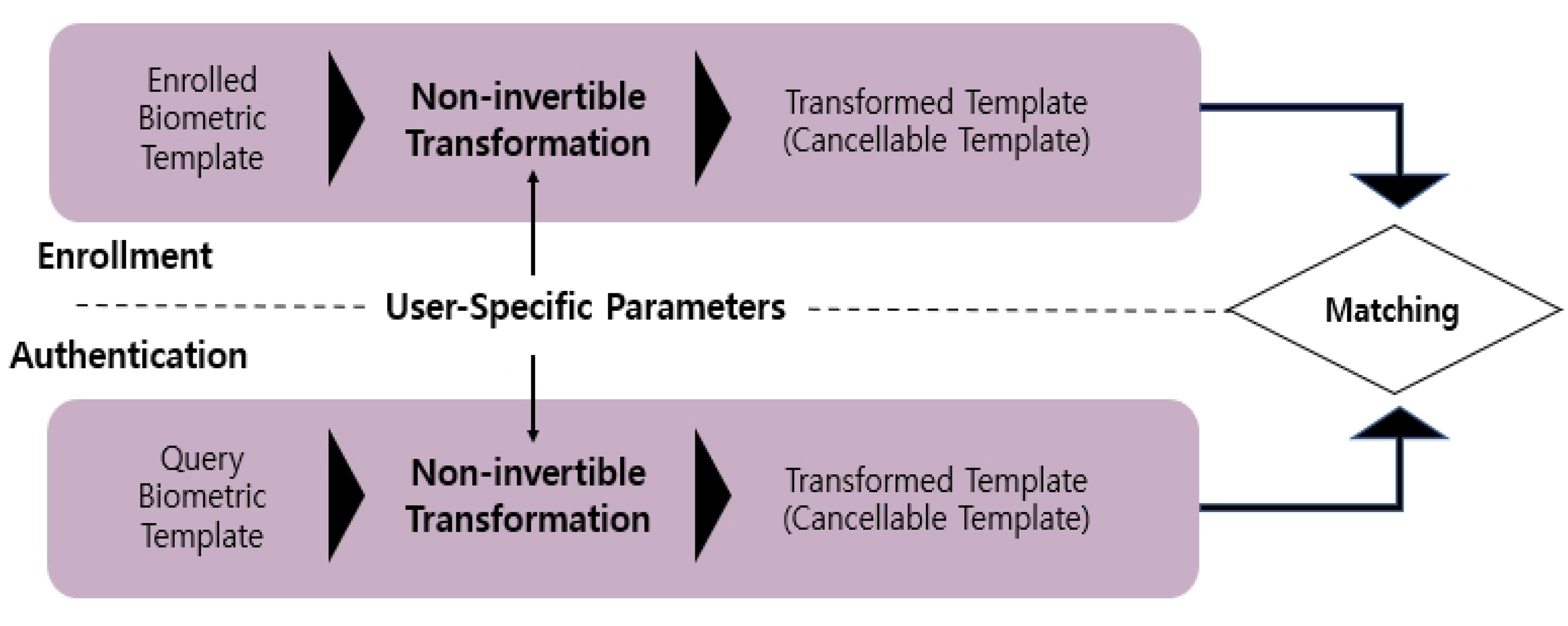 Applsci 12 02023 g001 550