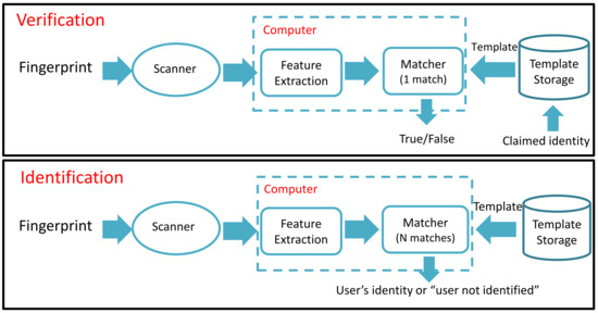 A Fingerprint-Based Verification Framework Using Harris and SURF 