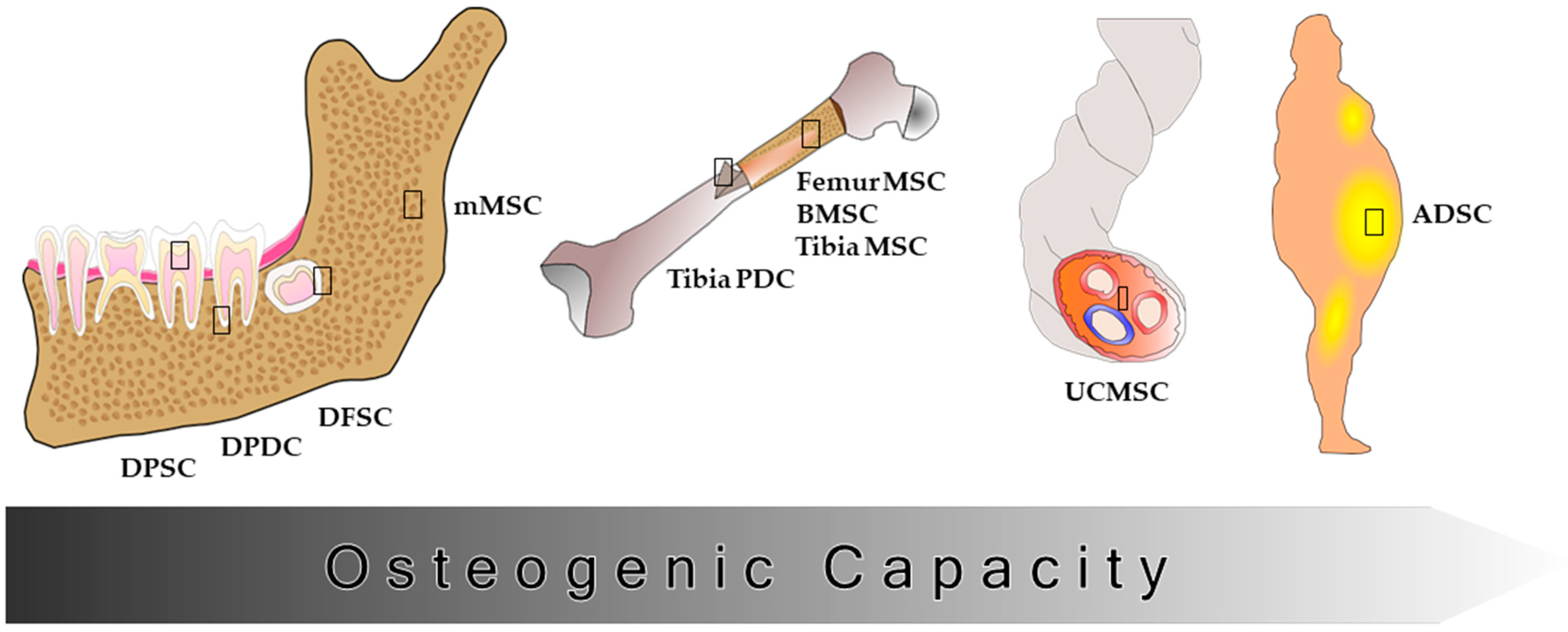 Applsci 12 02031 g001 Applsci 12 02031 g001