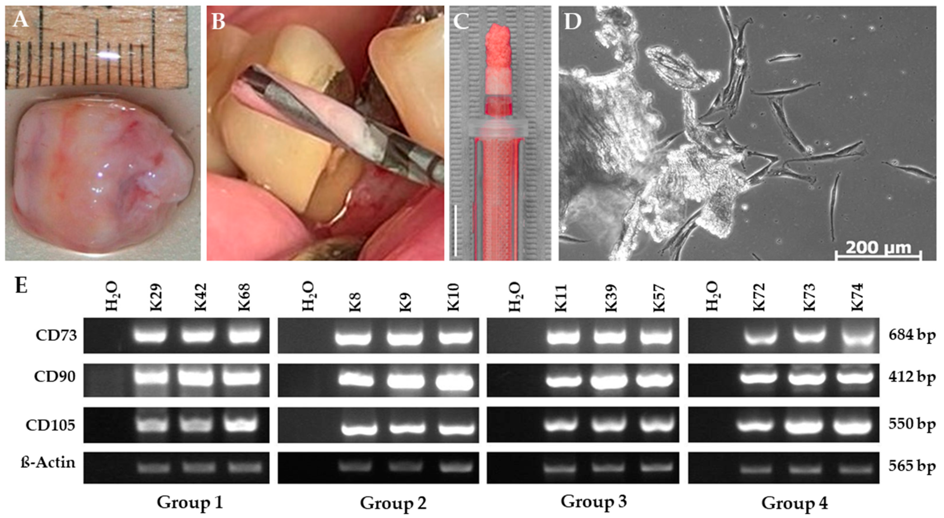 Applsci 12 02031 g003 Applsci 12 02031 g003