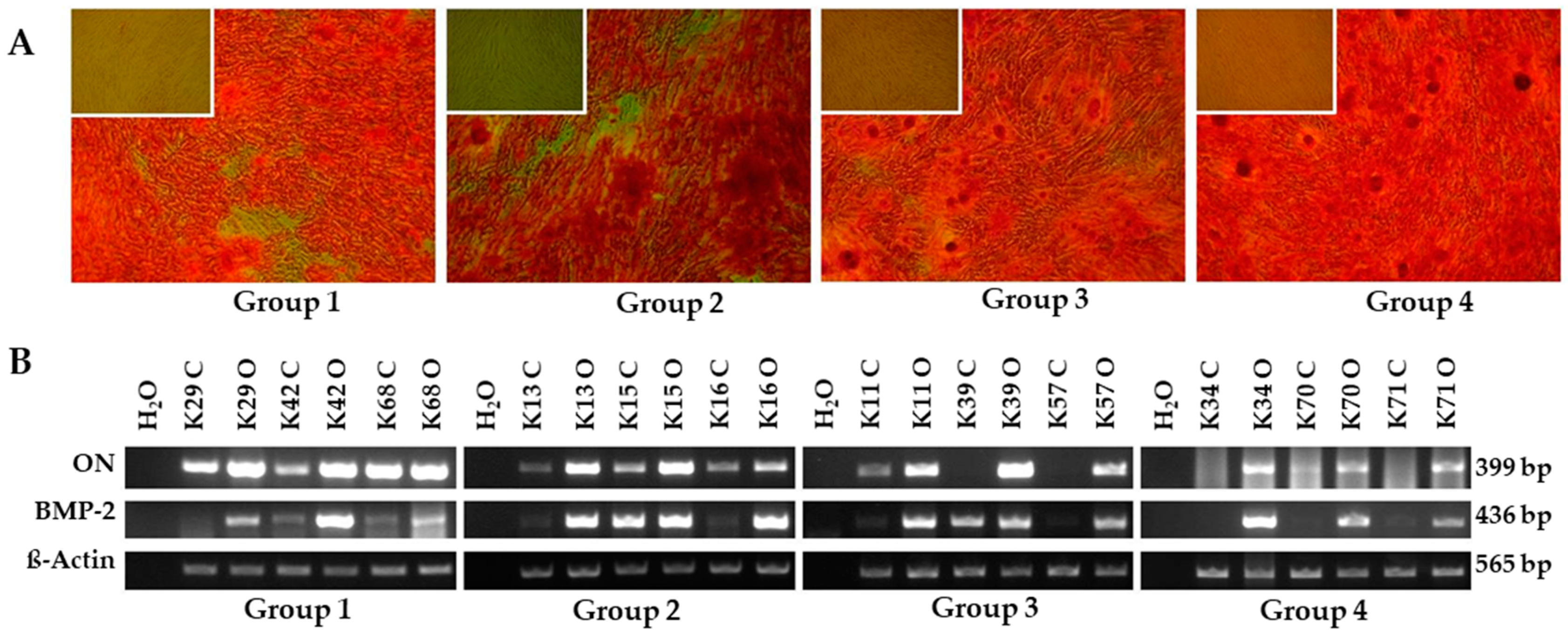 Applsci 12 02031 g004 Applsci 12 02031 g004
