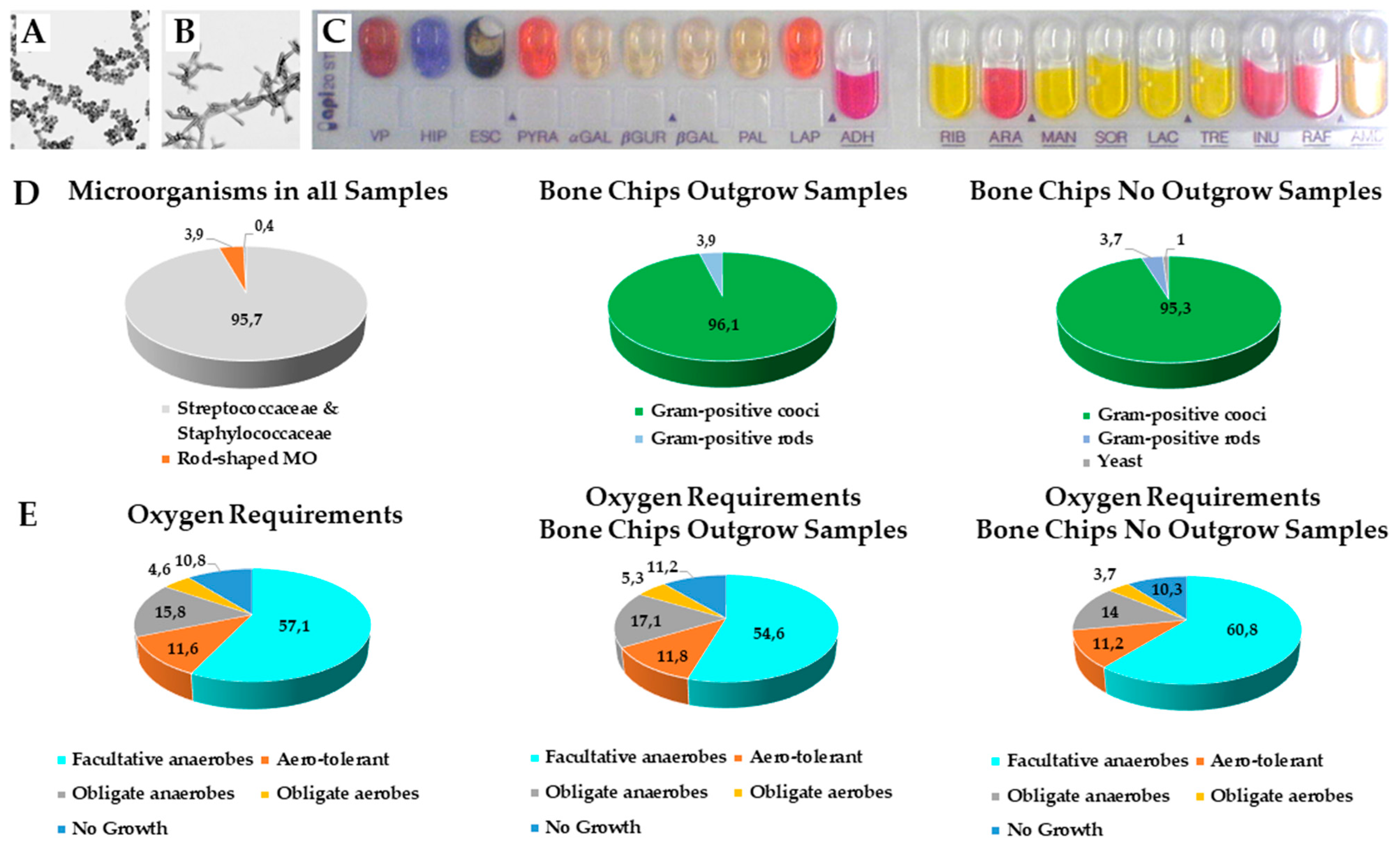 Applsci 12 02031 g005 Applsci 12 02031 g005