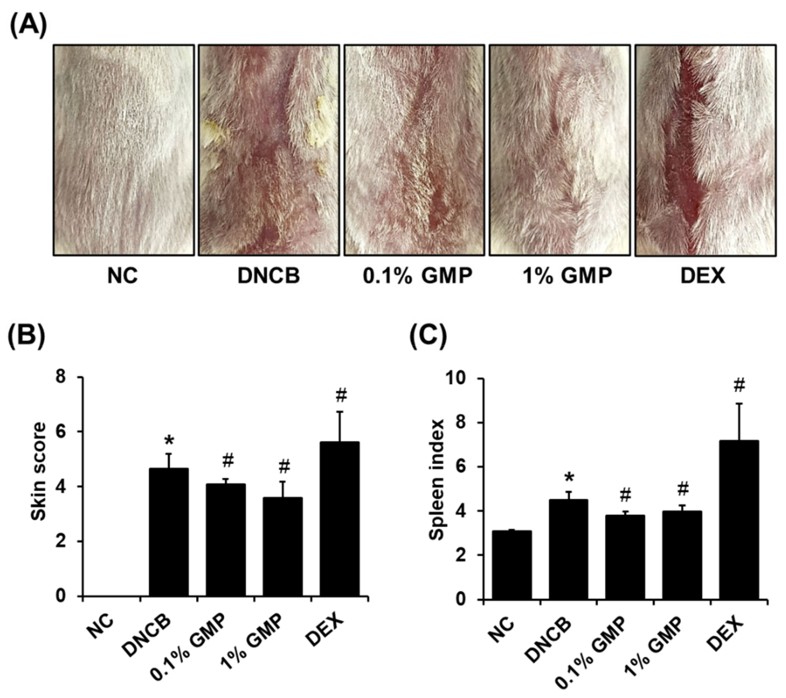 Applsci 12 02032 g002a Applsci 12 02032 g002a