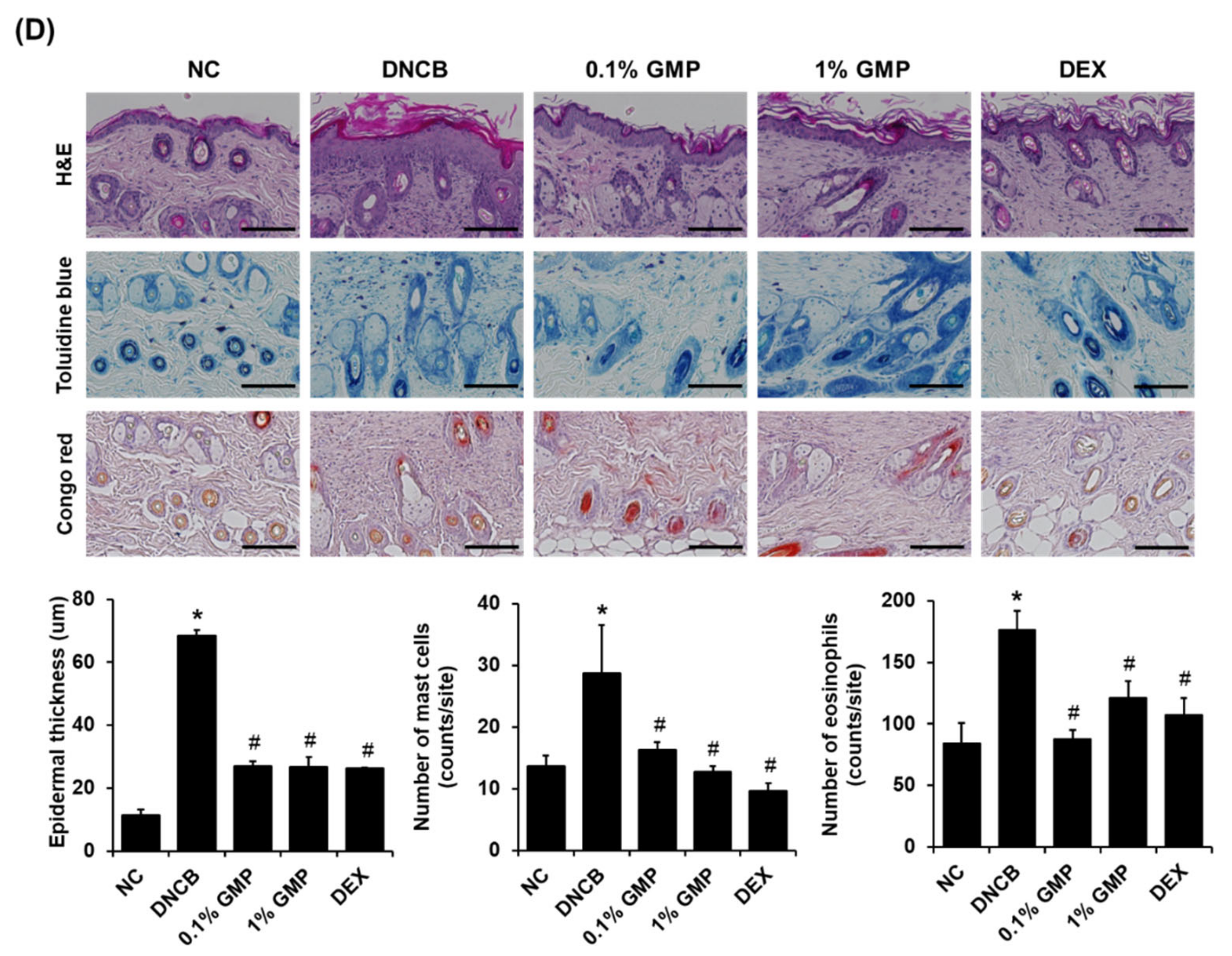 Applsci 12 02032 g002b Applsci 12 02032 g002b