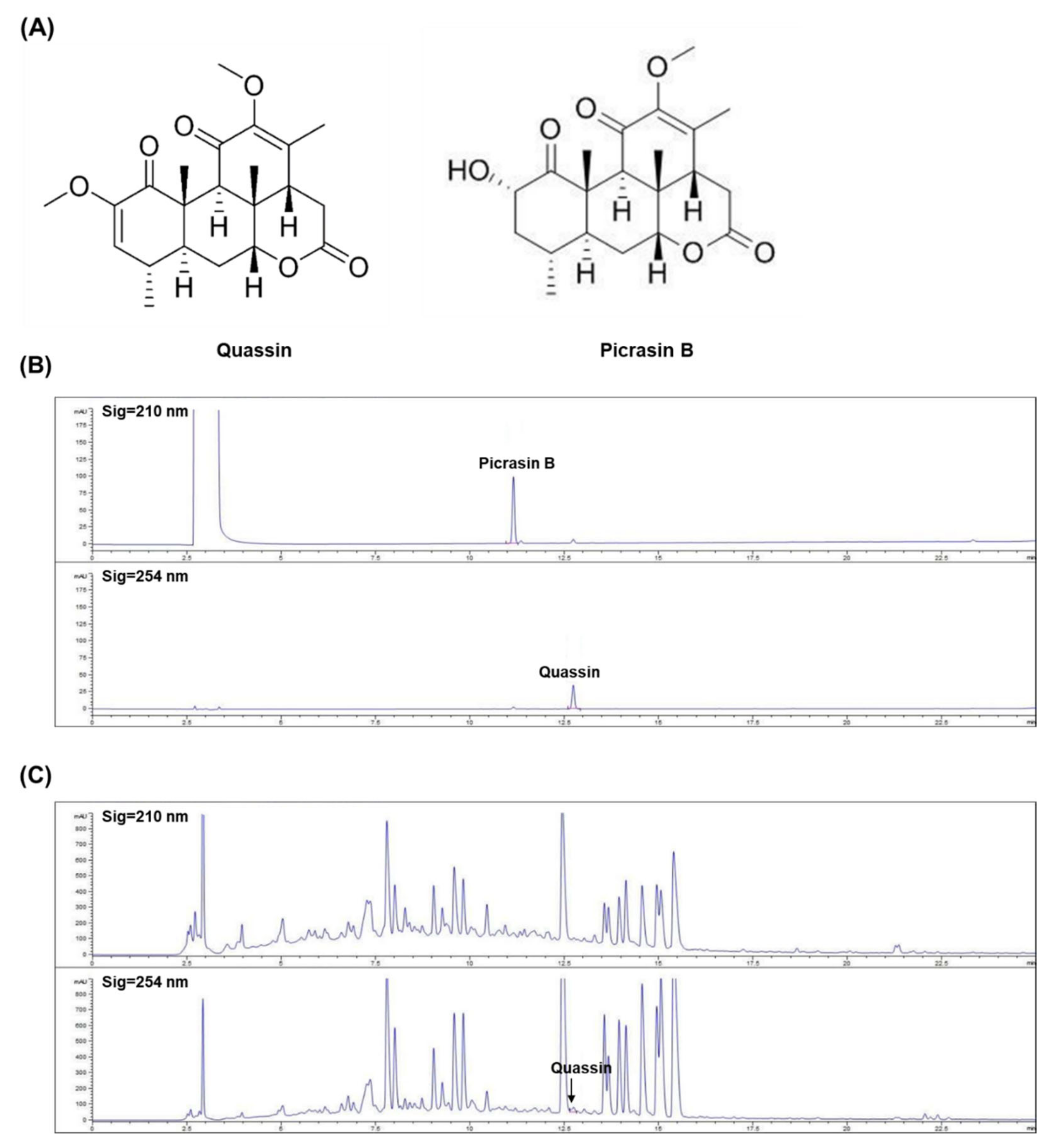 Applsci 12 02032 g007 Applsci 12 02032 g007
