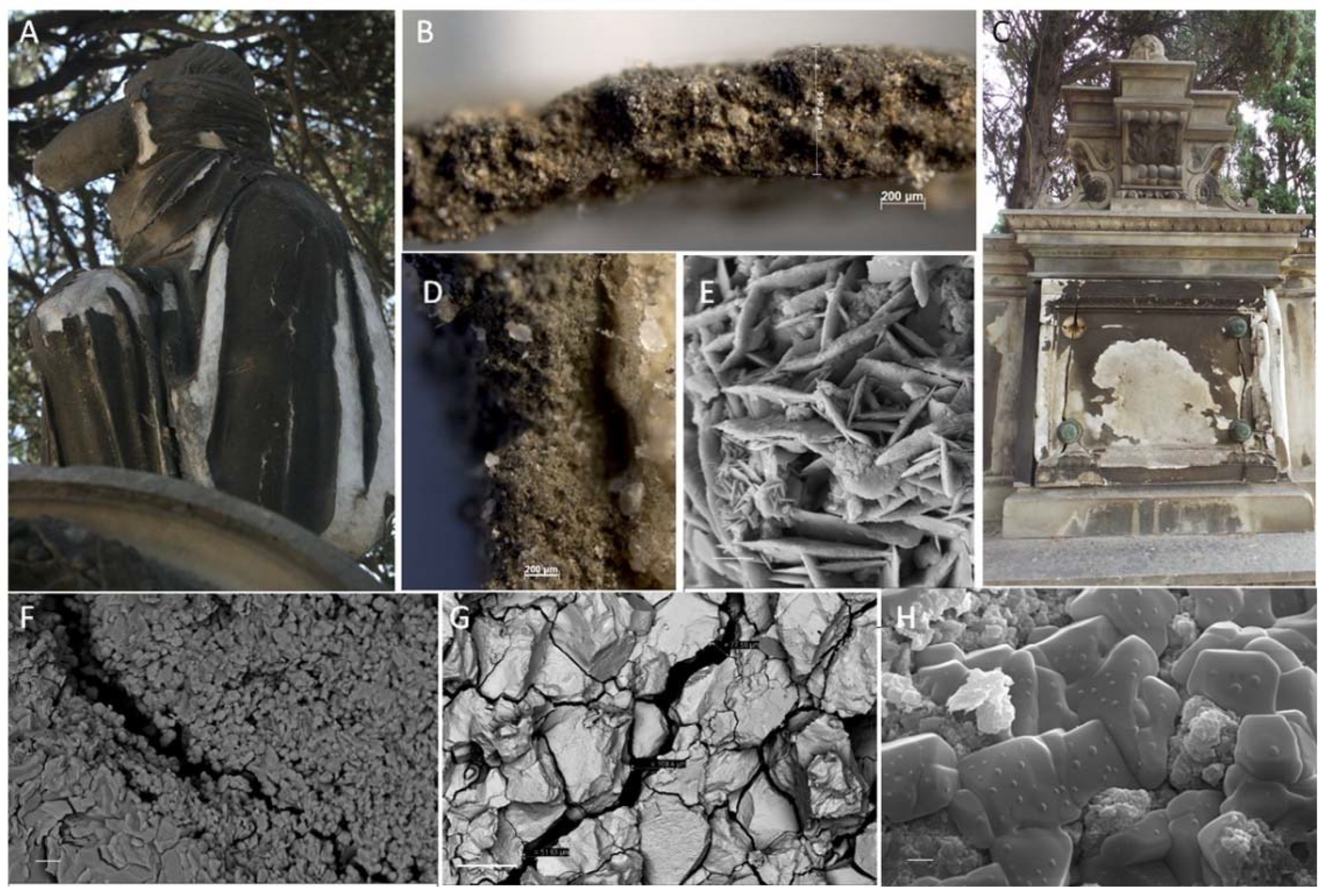 Applsci 12 02038 g006