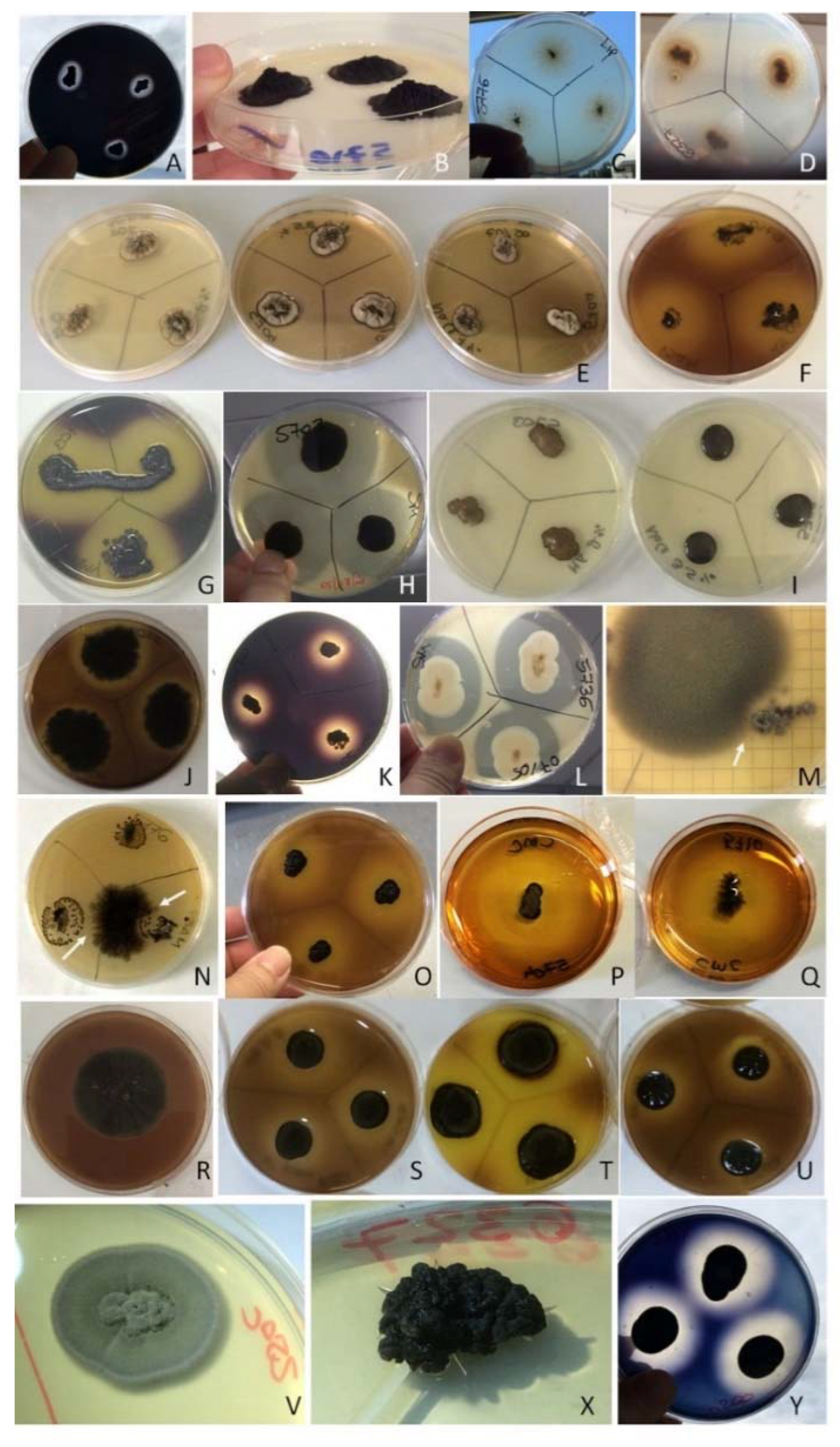 Applsci 12 02038 g008