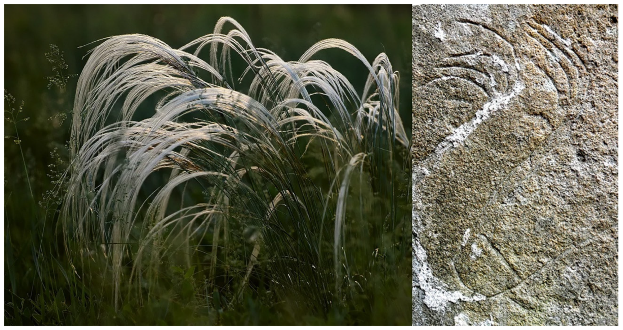 Applsci 12 02052 g028