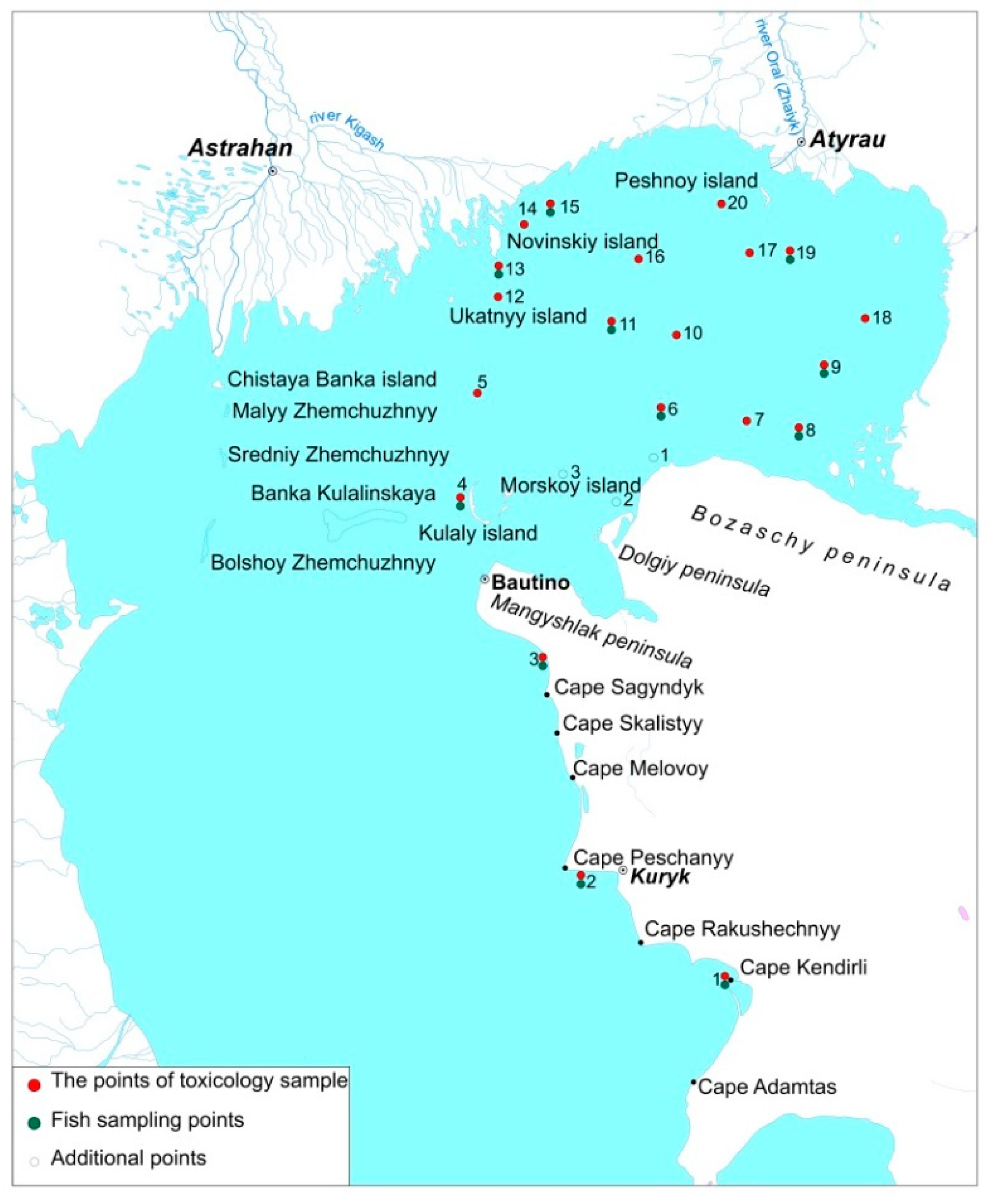 Applsci 12 02059 g007