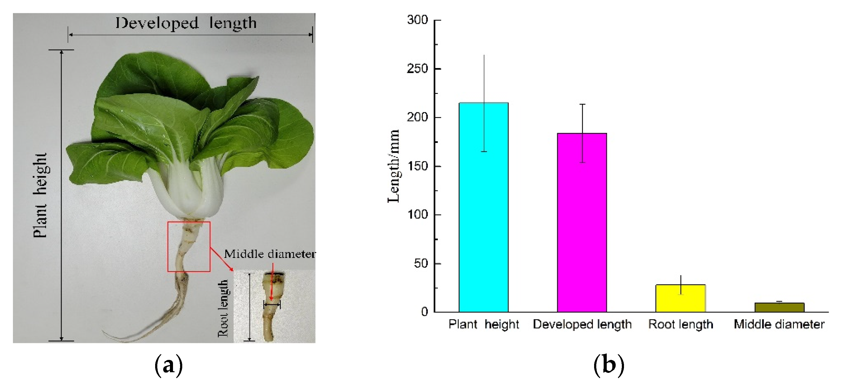 Applsci 12 02060 g001