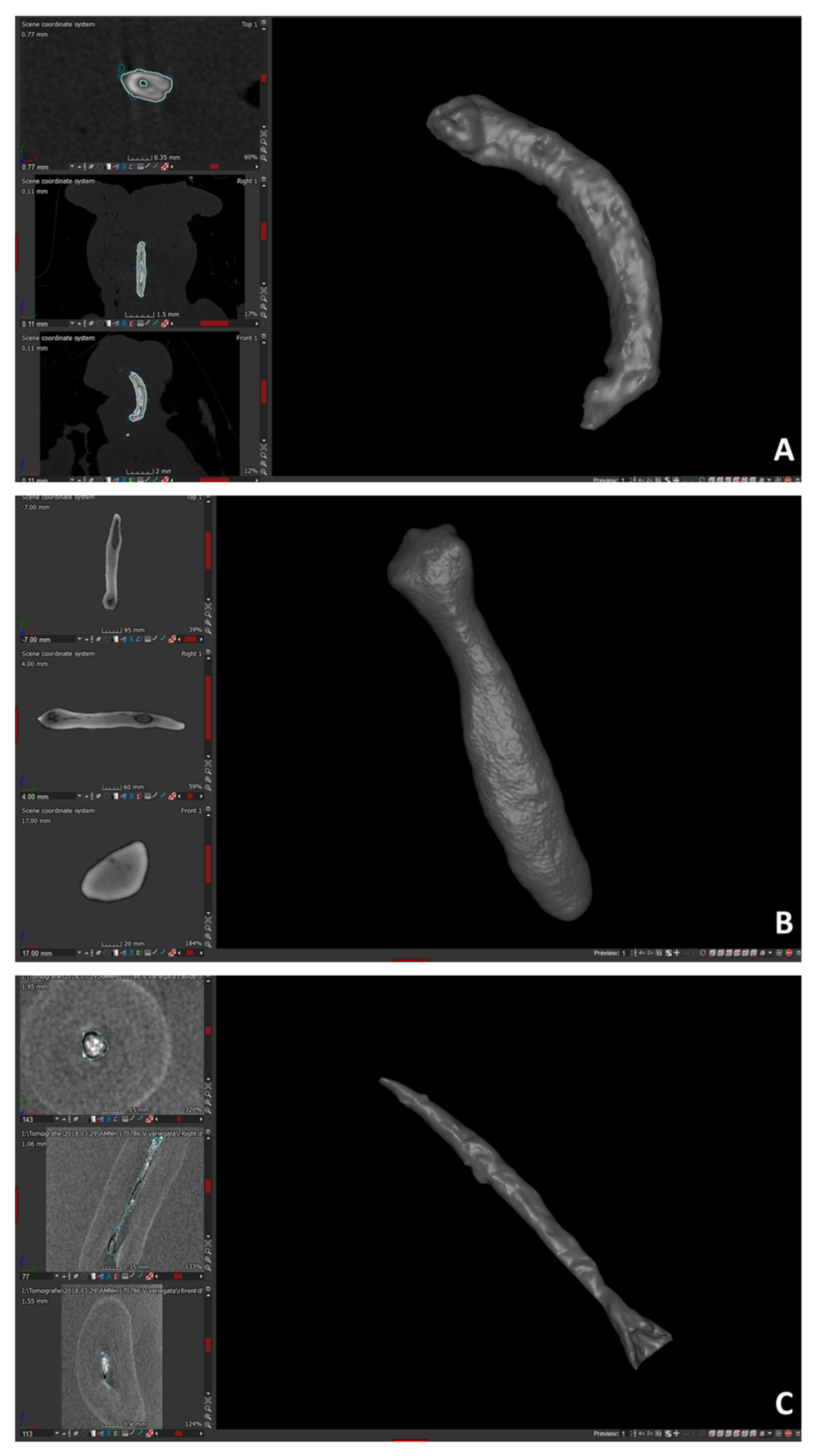 Applsci 12 02096 g002
