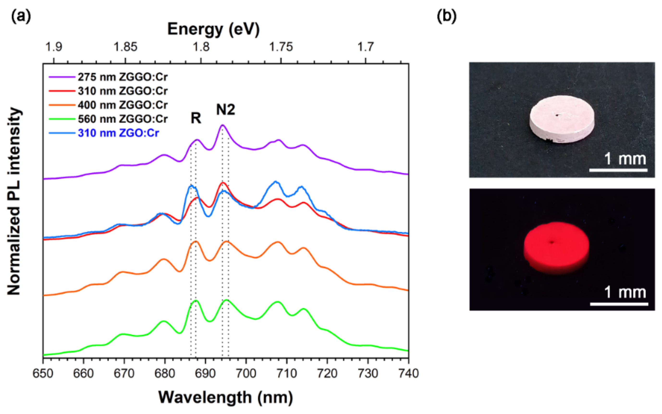 Applsci 12 02104 g005