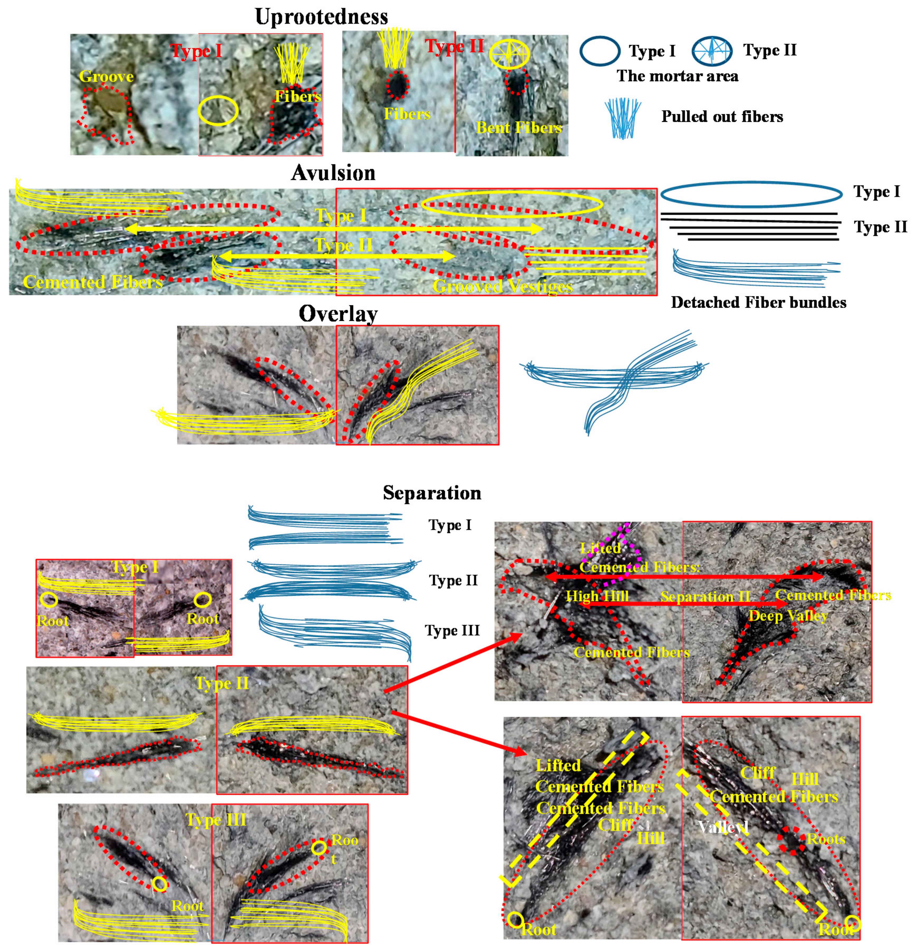 Applsci 12 02110 g005a 550