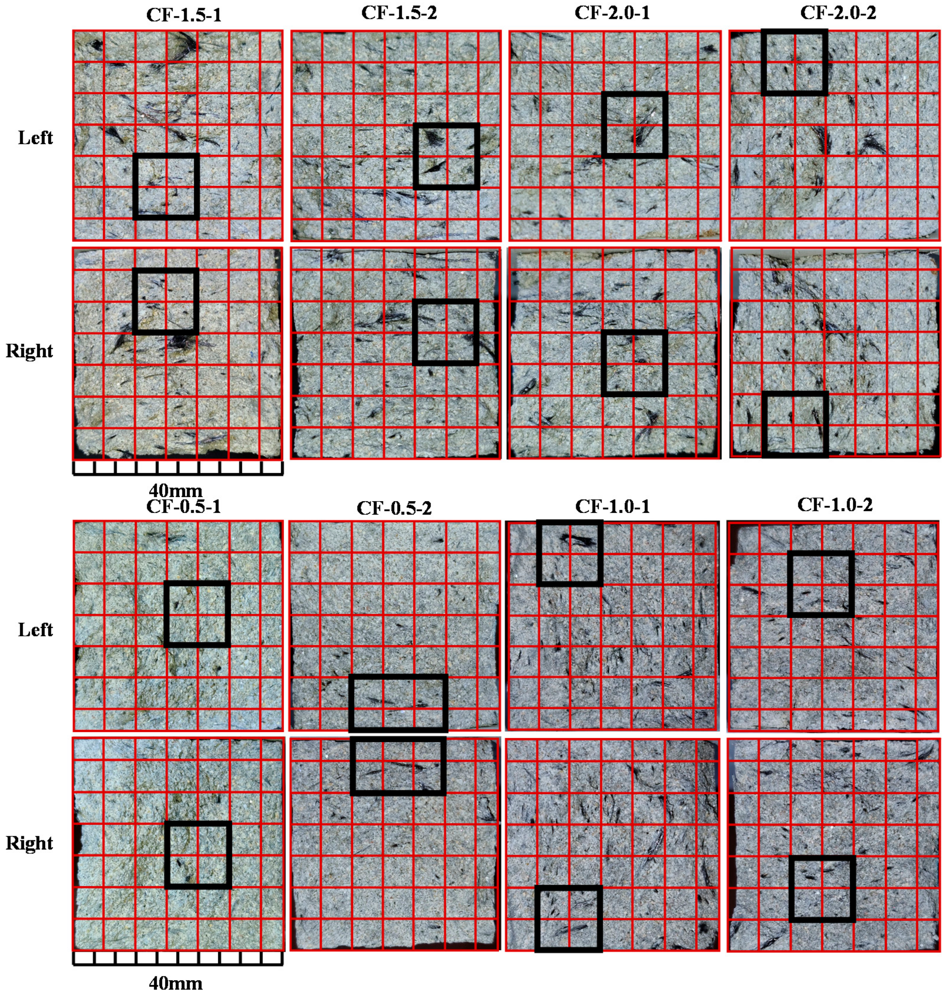 Applsci 12 02110 g007 550