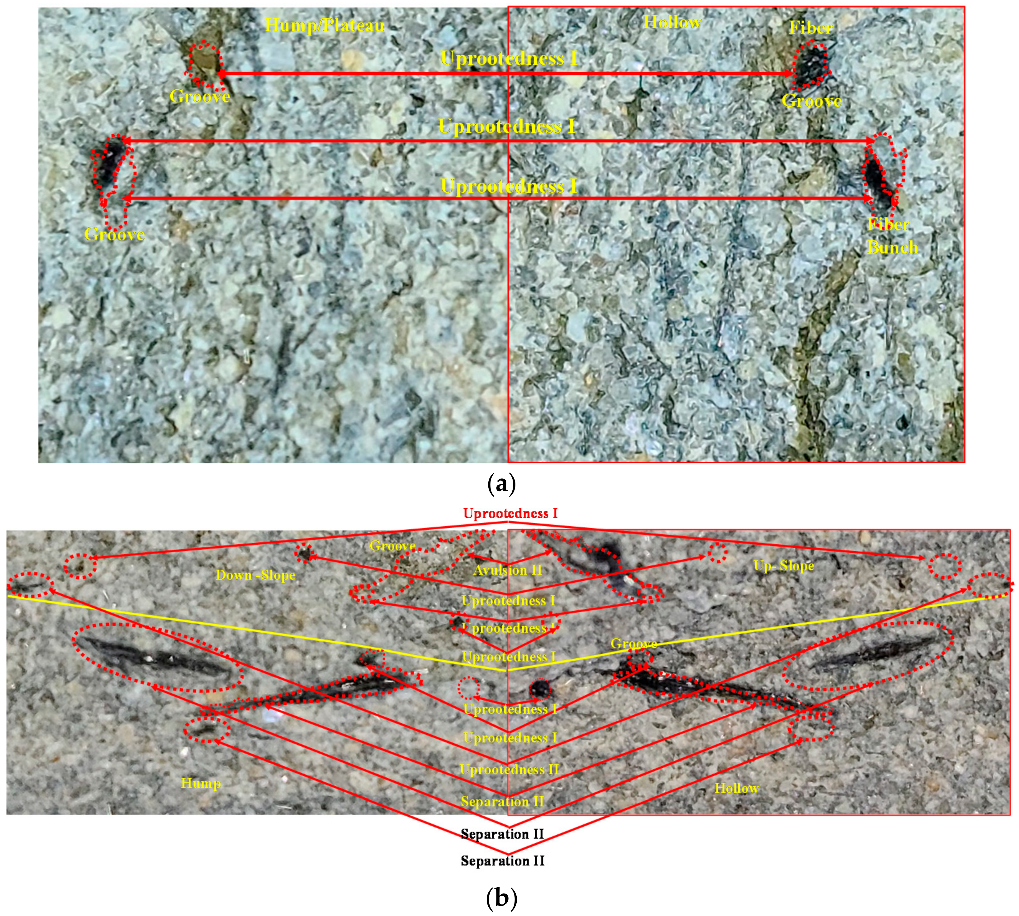 Applsci 12 02110 g008 550