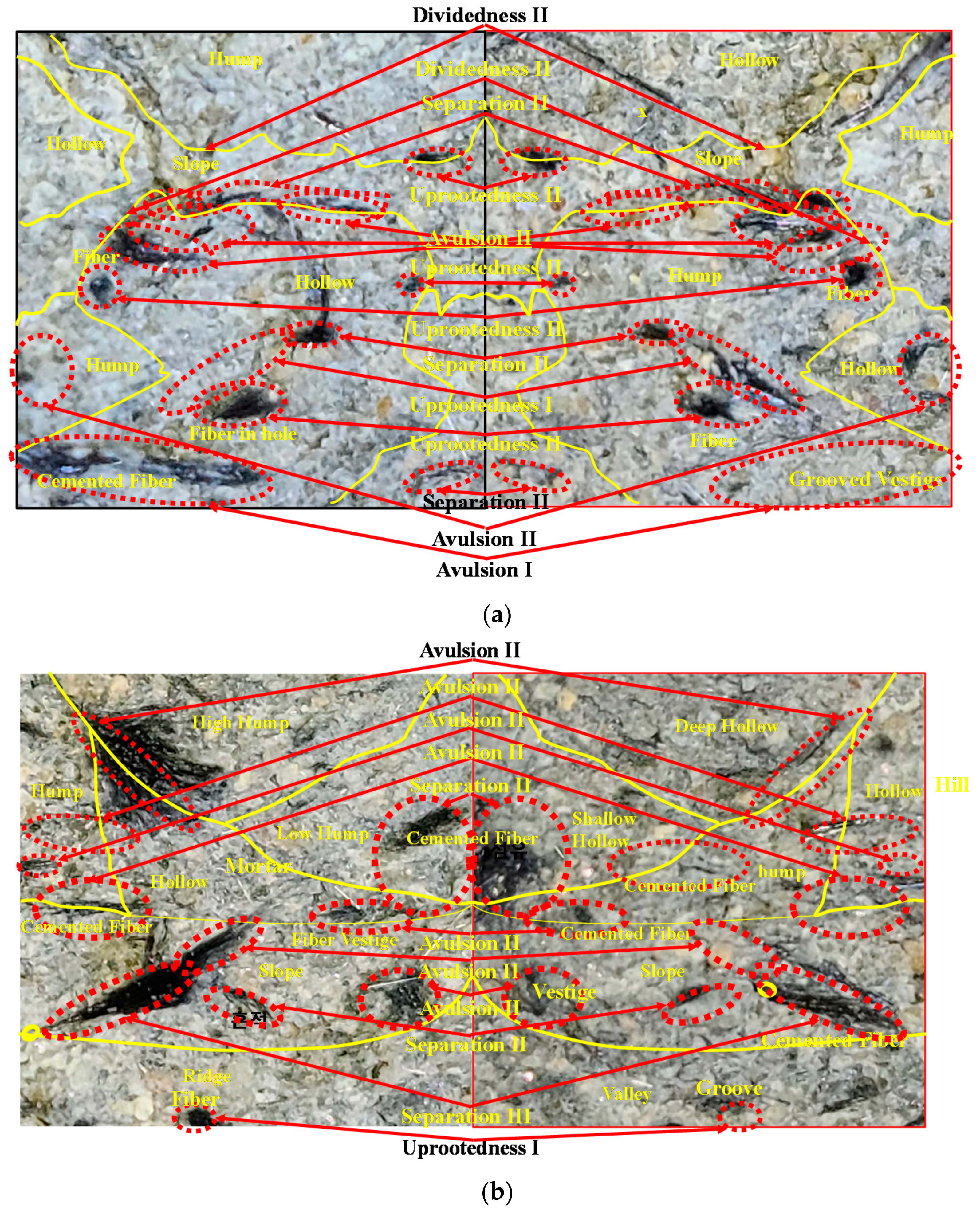 Applsci 12 02110 g010 550