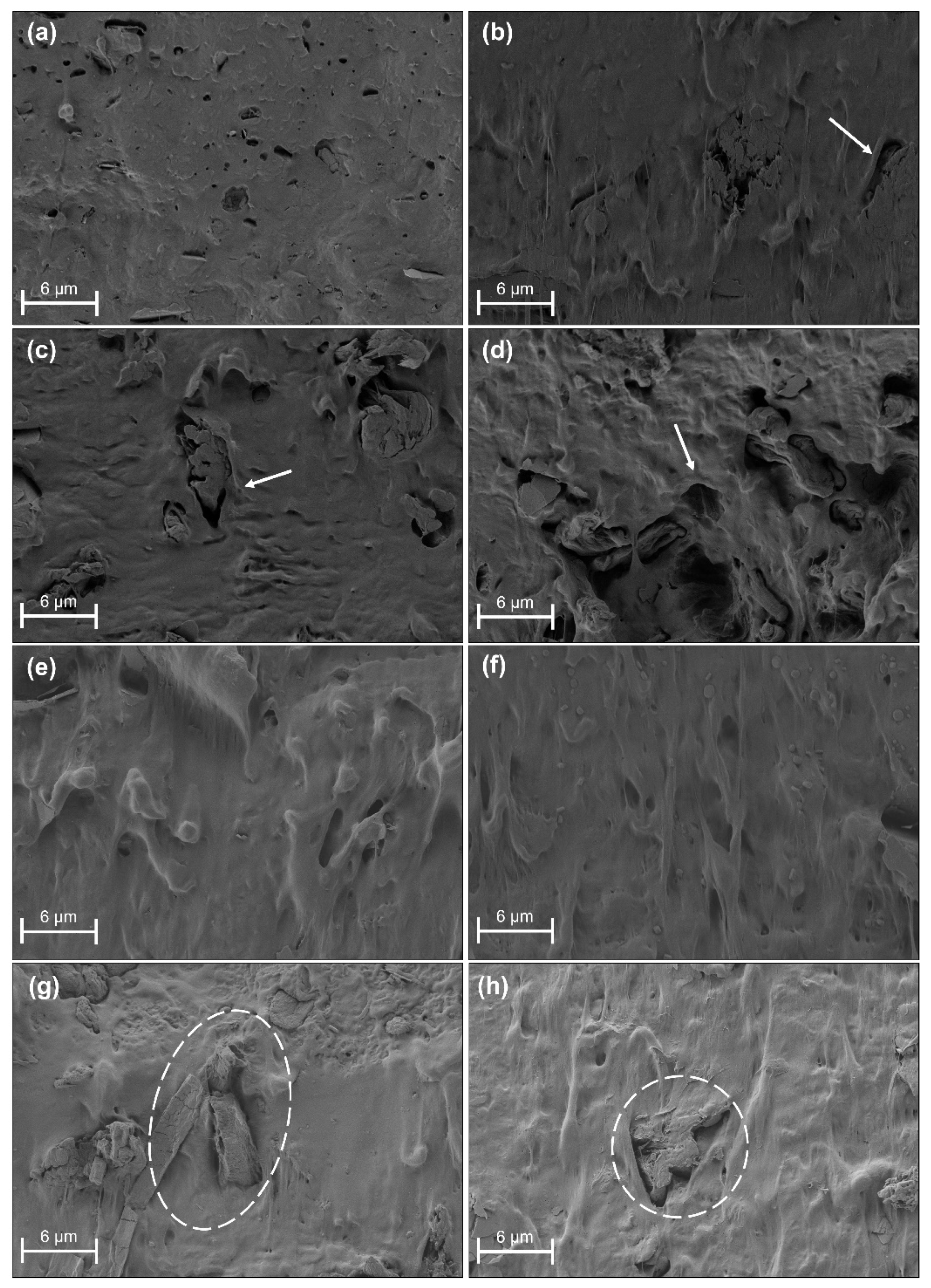 Applsci 12 02111 g008 550