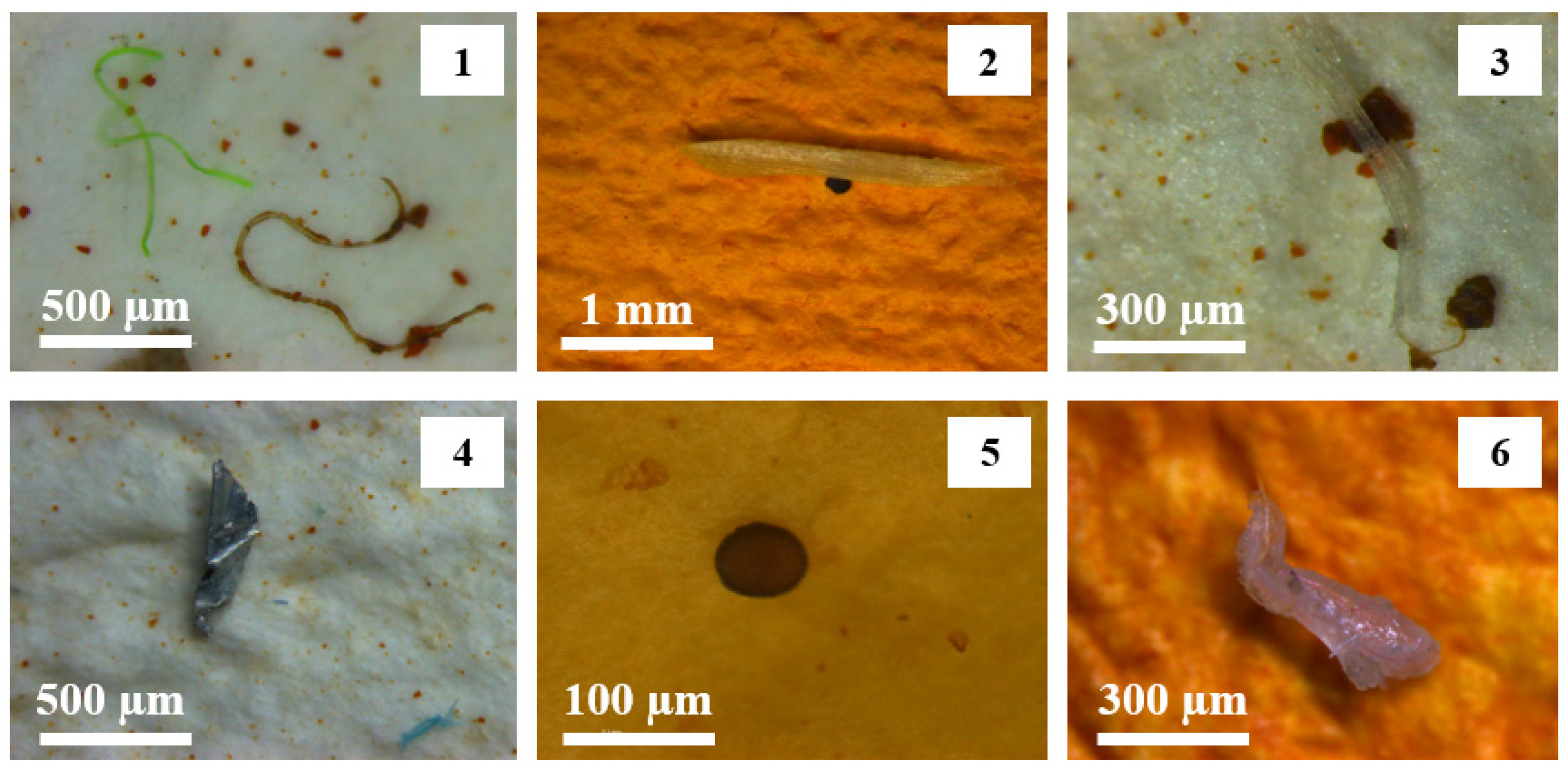 Applsci 12 02133 g004 550