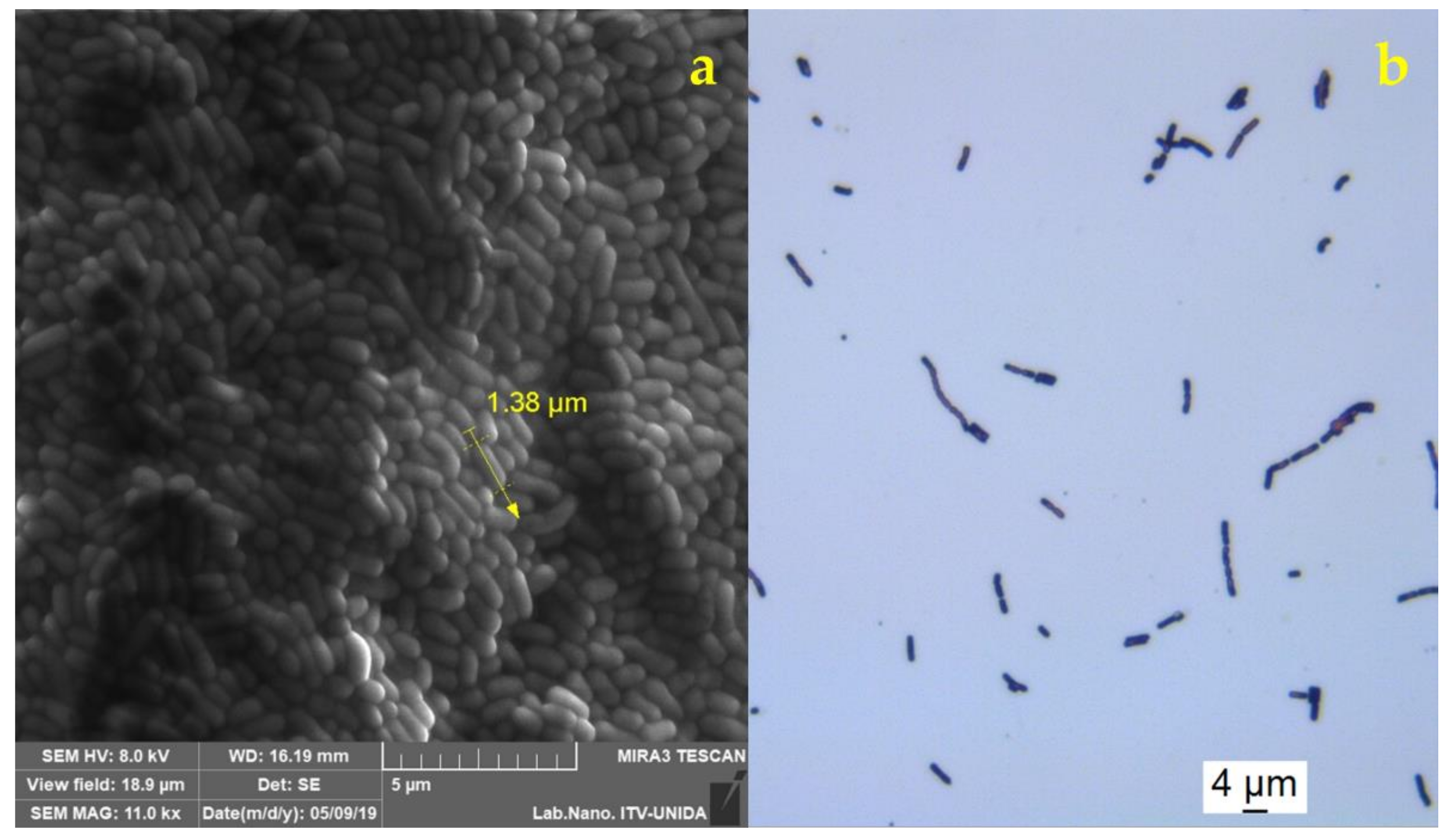 Applsci 12 02141 g001 550