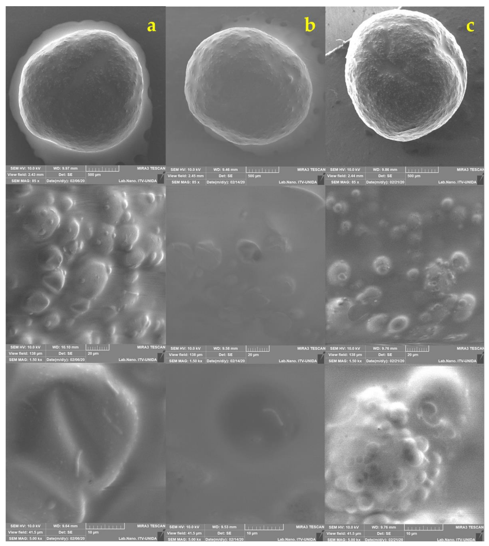 Applsci 12 02141 g005 550