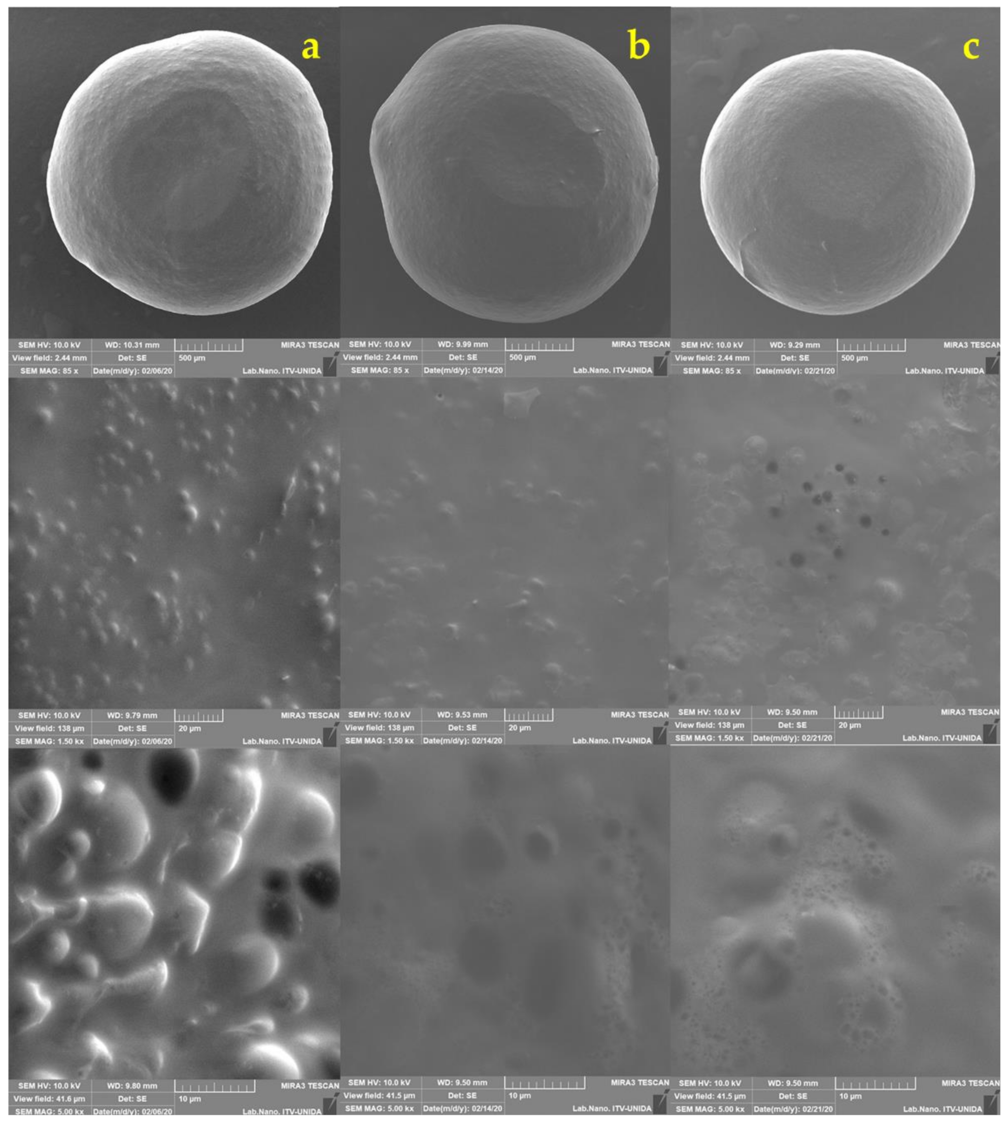 Applsci 12 02141 g007 550