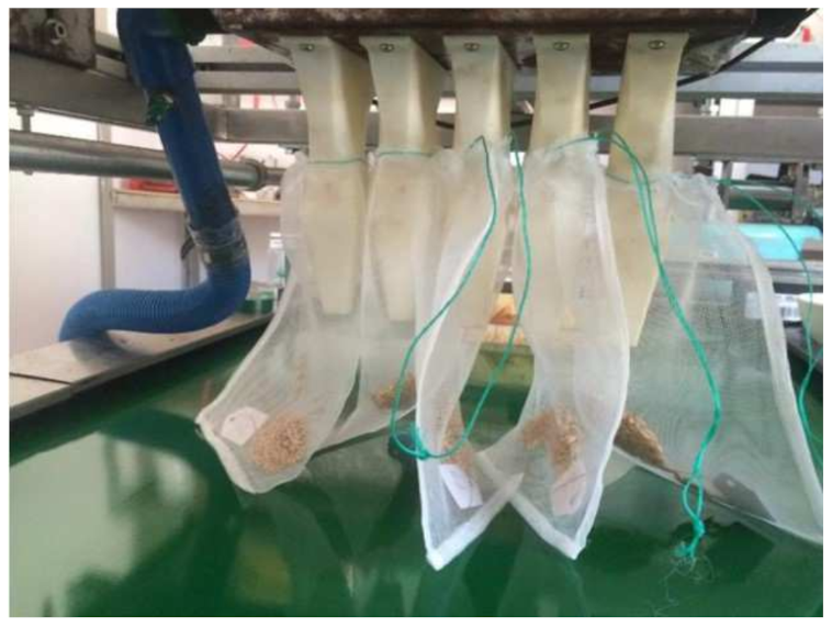 Applsci 12 02159 g010 550