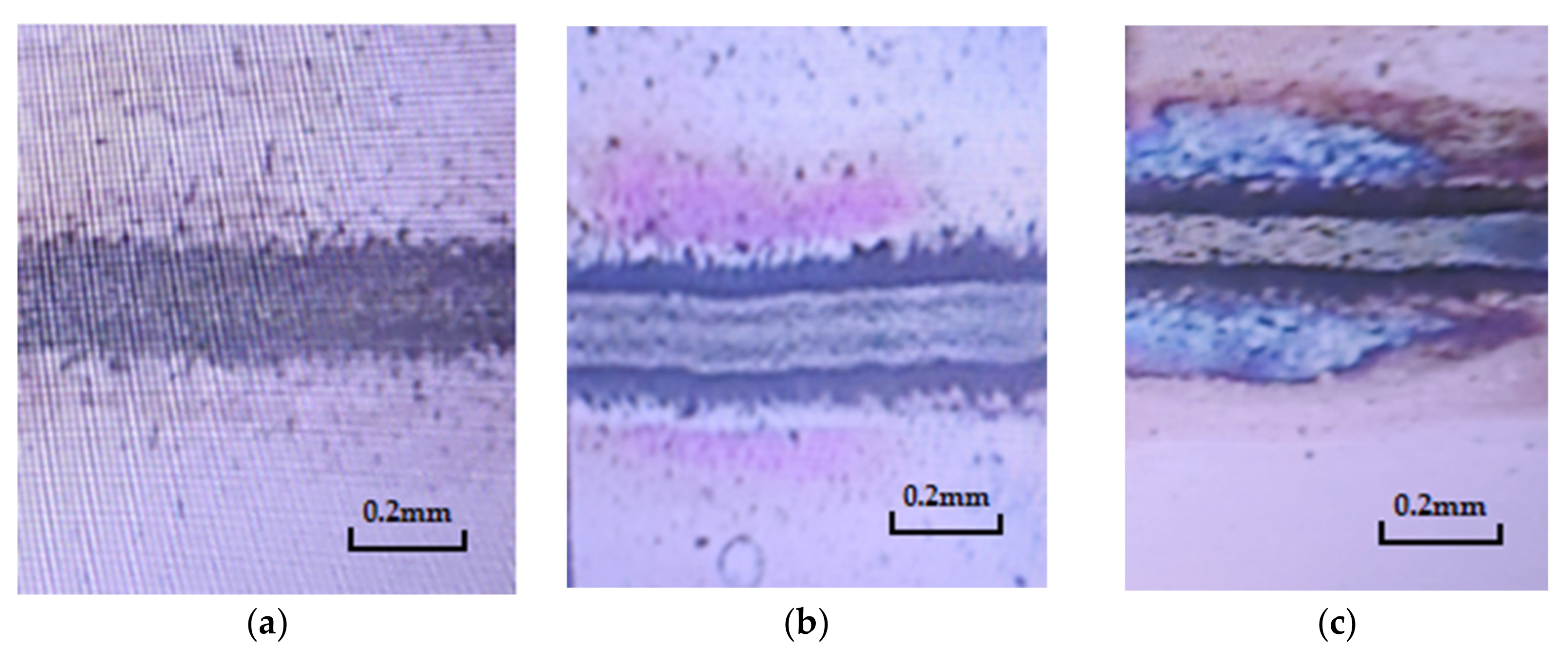 Applsci 12 02162 g013