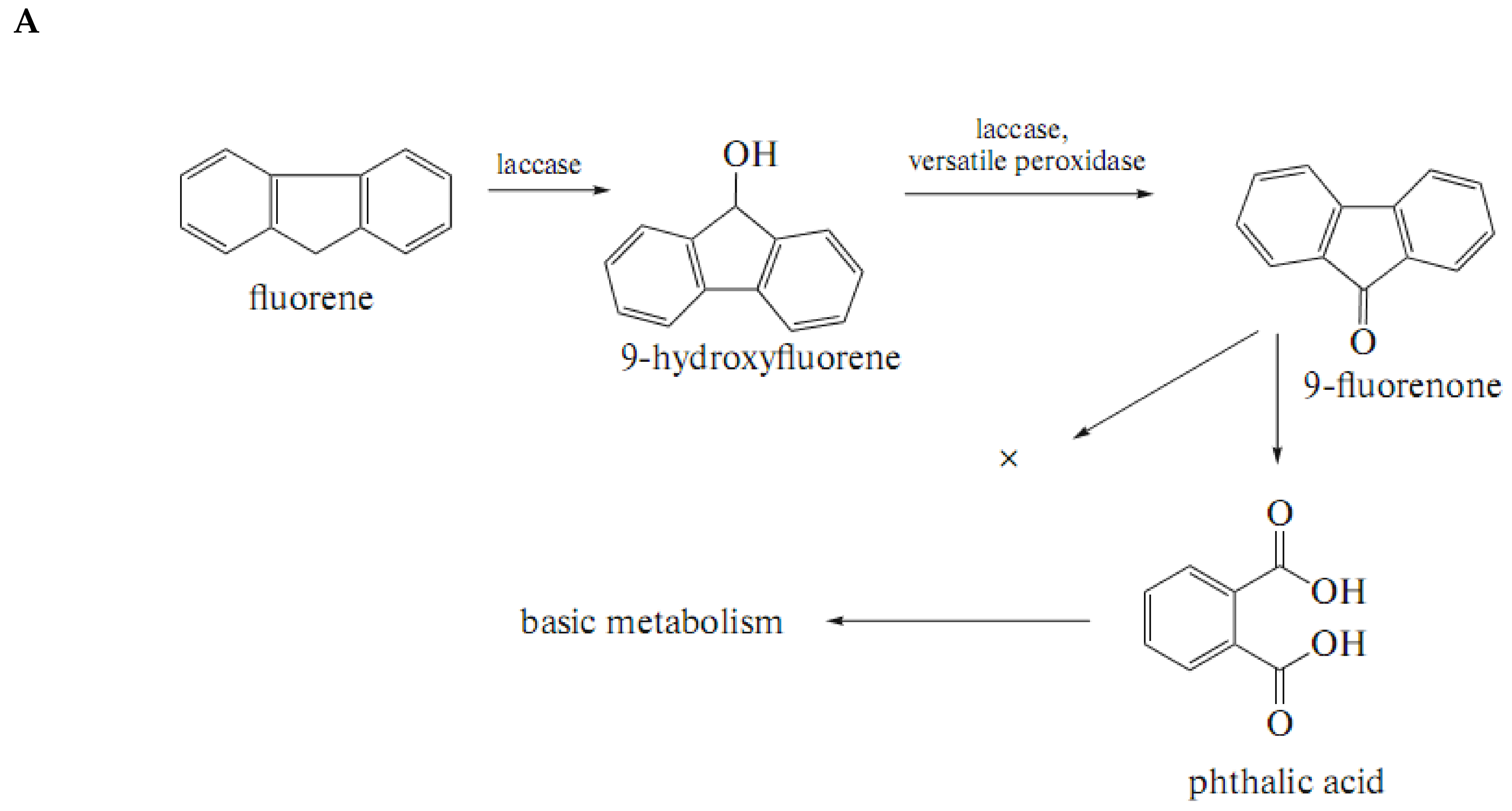 Applsci 12 02164 g001a Applsci 12 02164 g001a