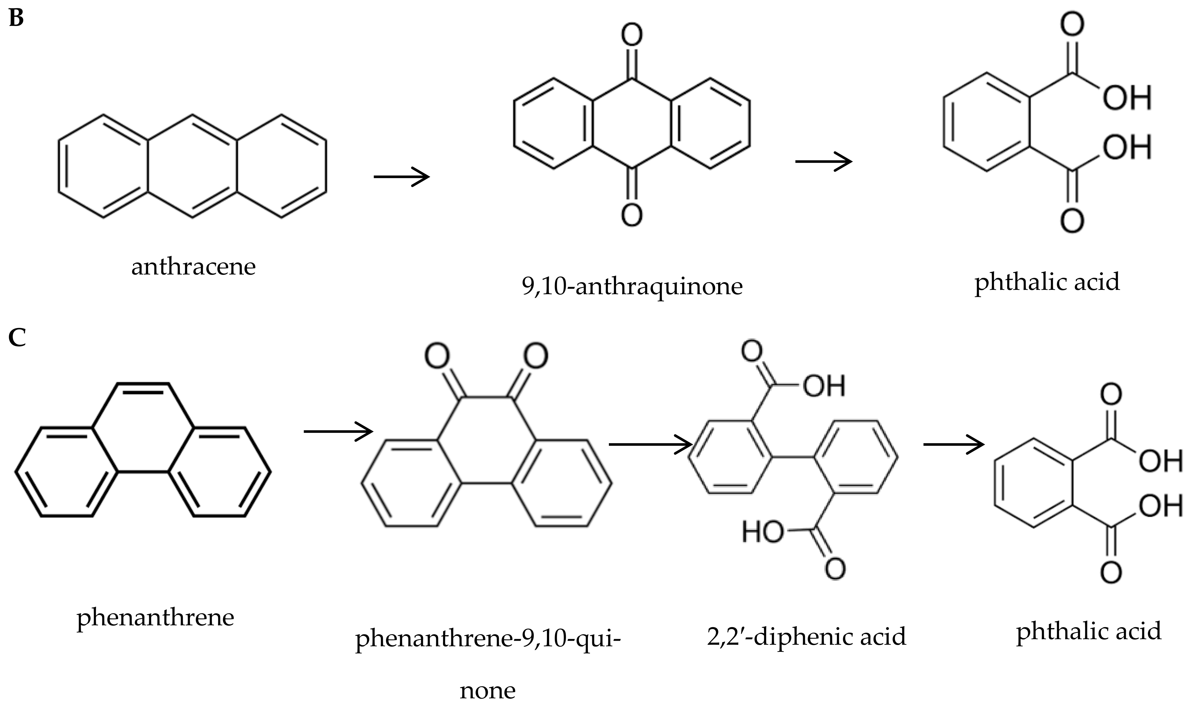 Applsci 12 02164 g001b Applsci 12 02164 g001b