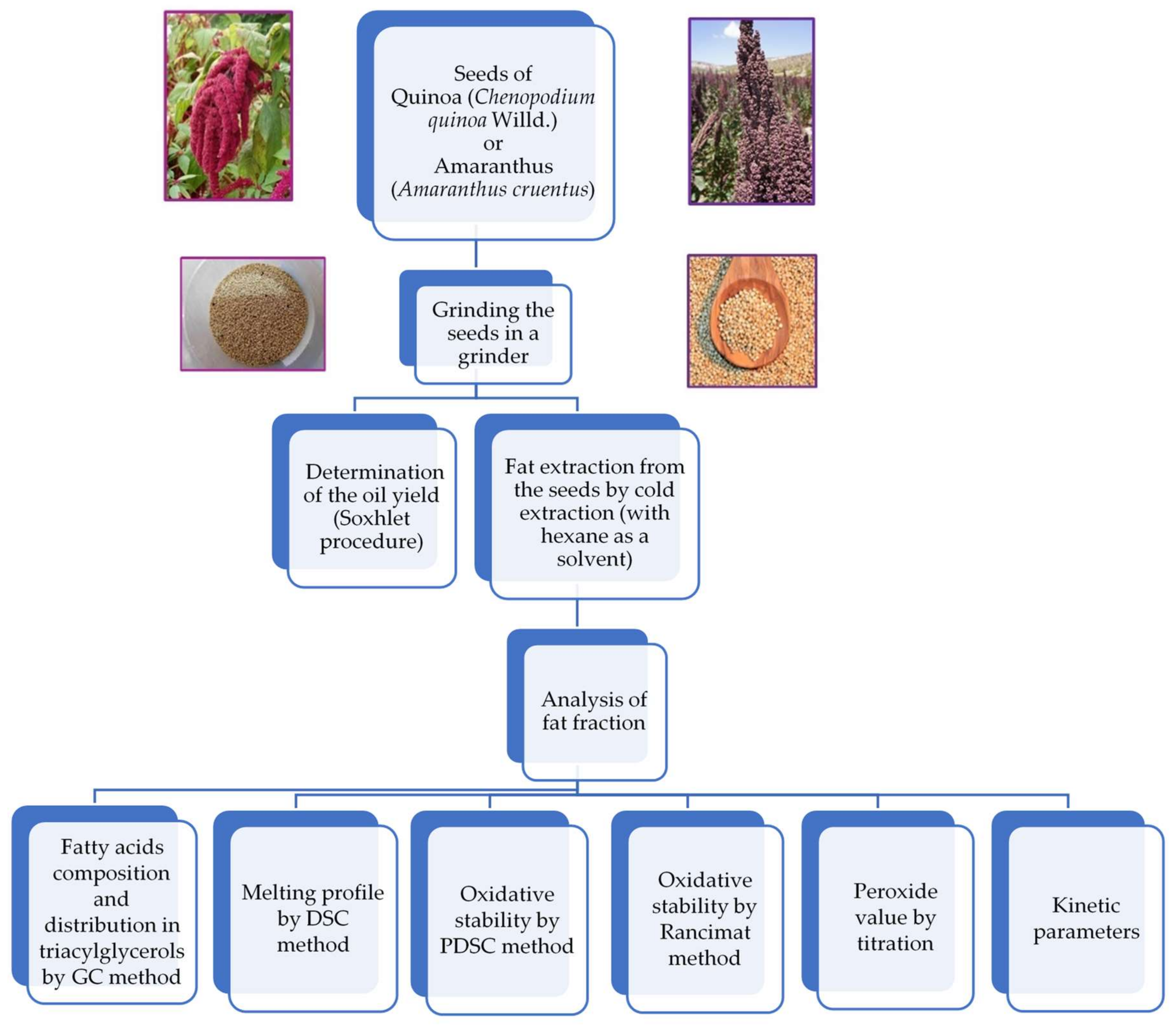 Applsci 12 02166 g001