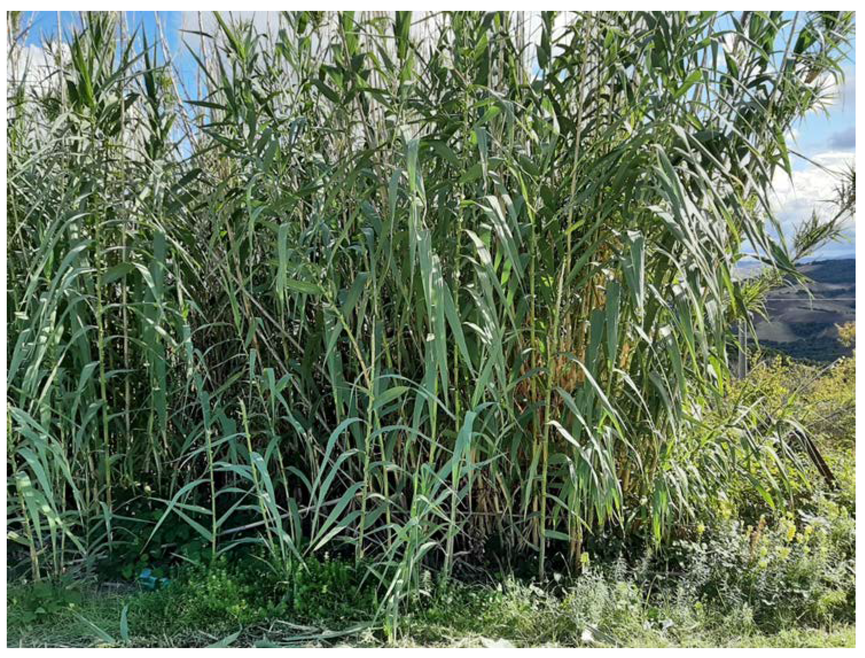 Applsci 12 02167 g001 550