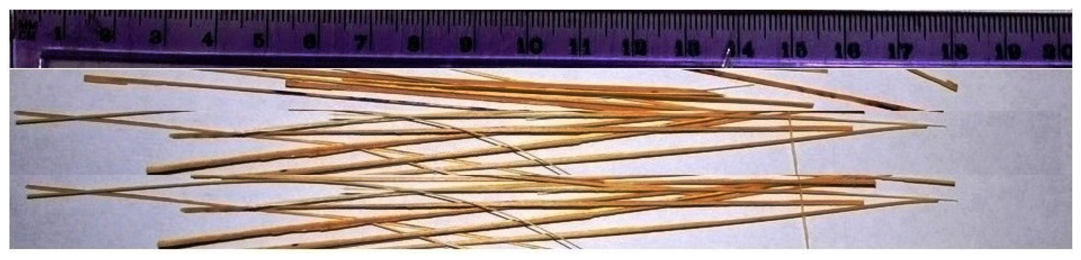 Applsci 12 02167 g002 550