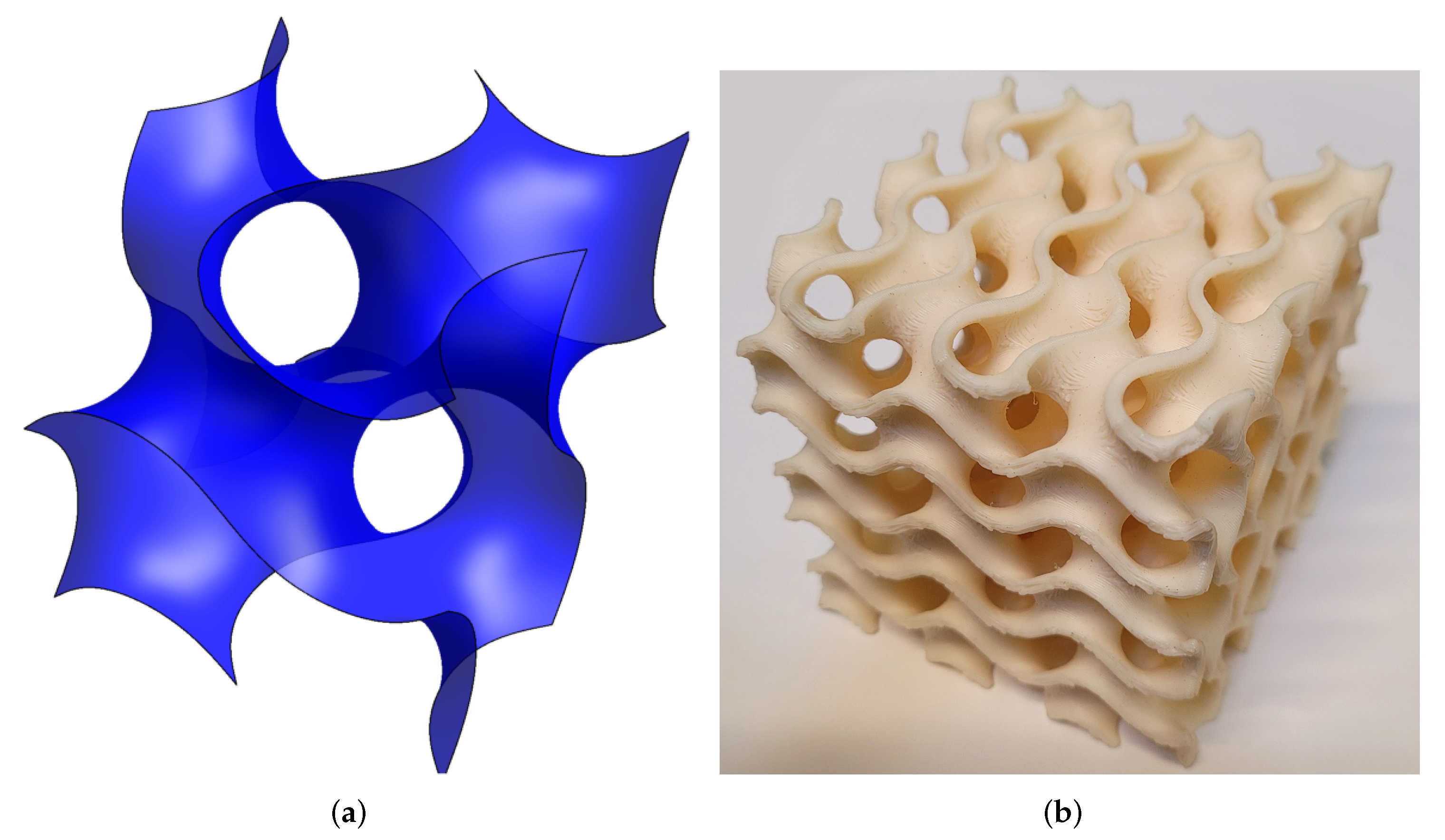 Applied Sciences | Free Full-Text | Numerical Modeling and Experimental Investigation of Effective Elastic Properties of the 3D Printed Gyroid