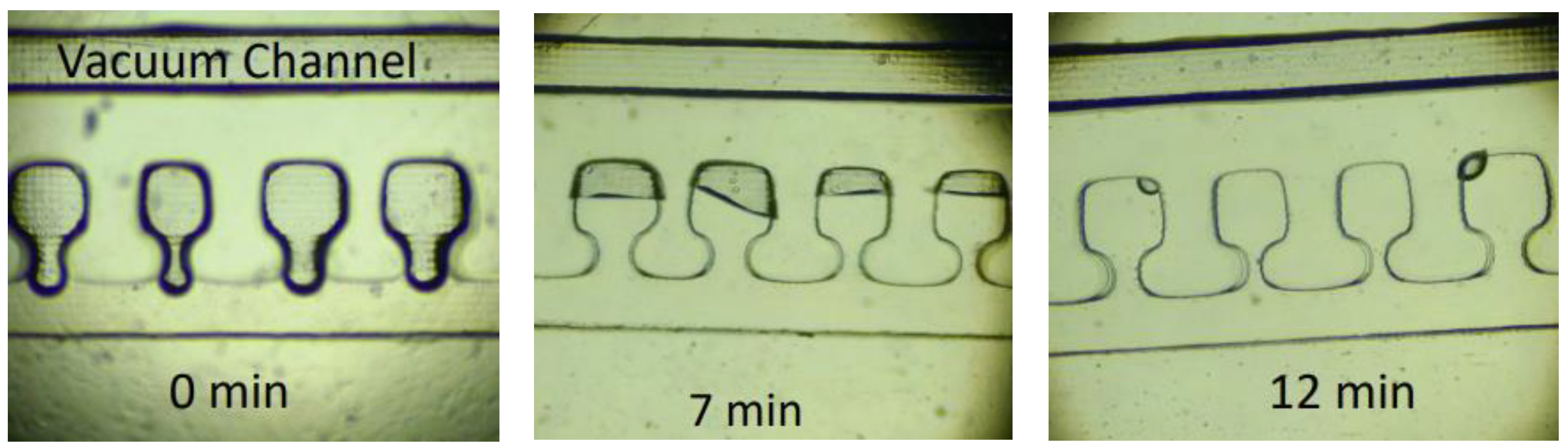 Applsci 12 02198 g005