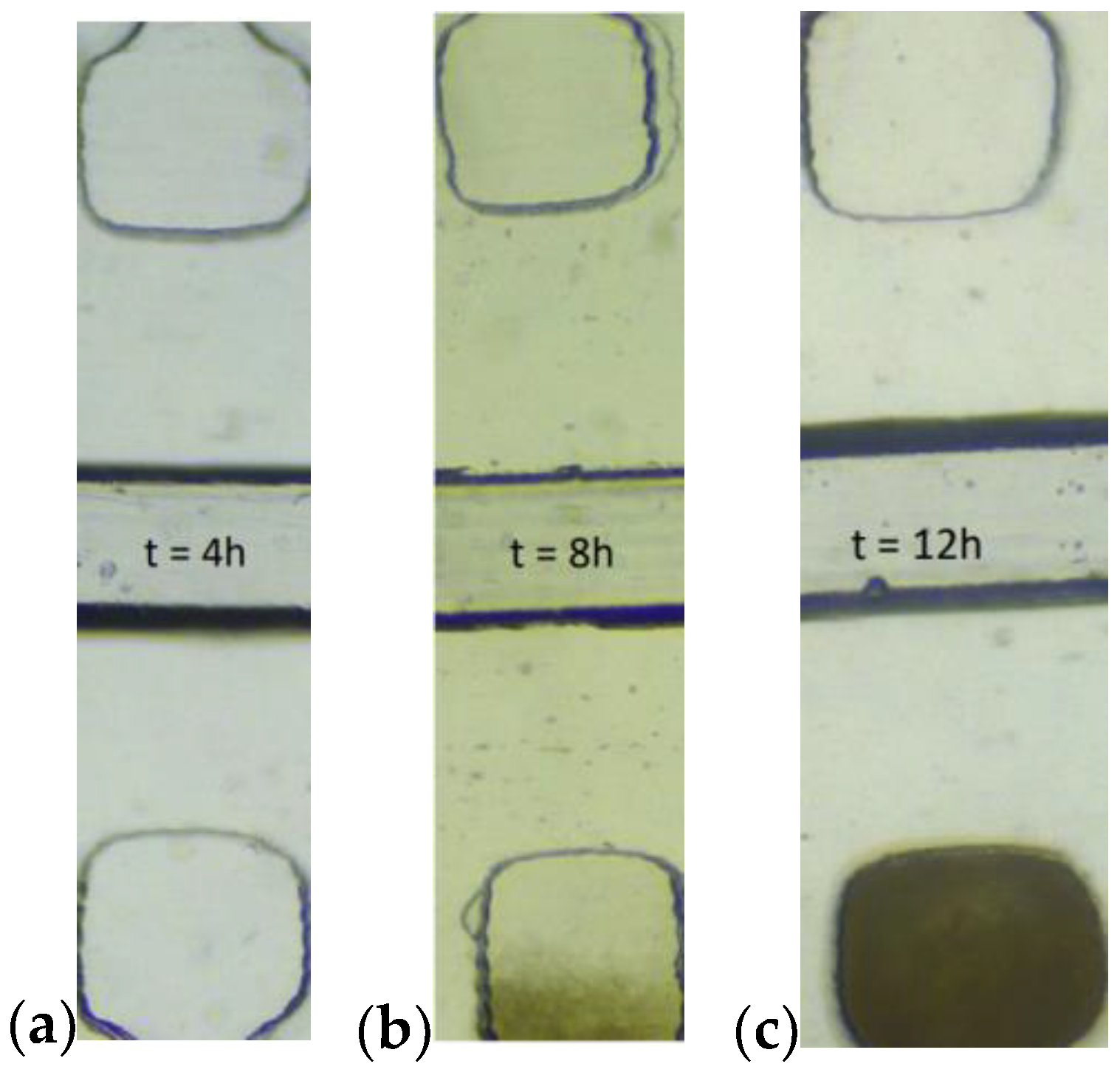 Applsci 12 02198 g006