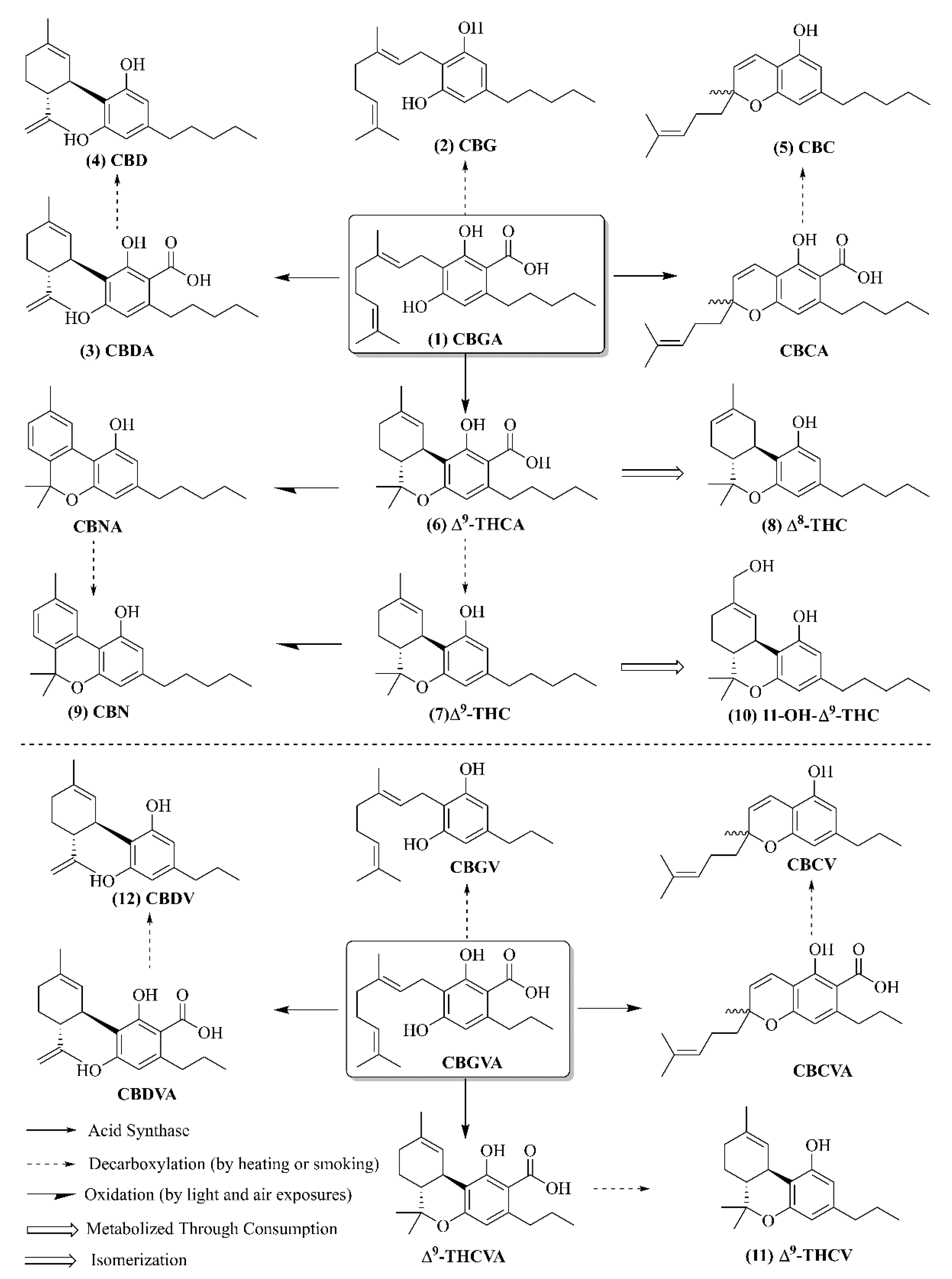 Applsci 12 02205 g002