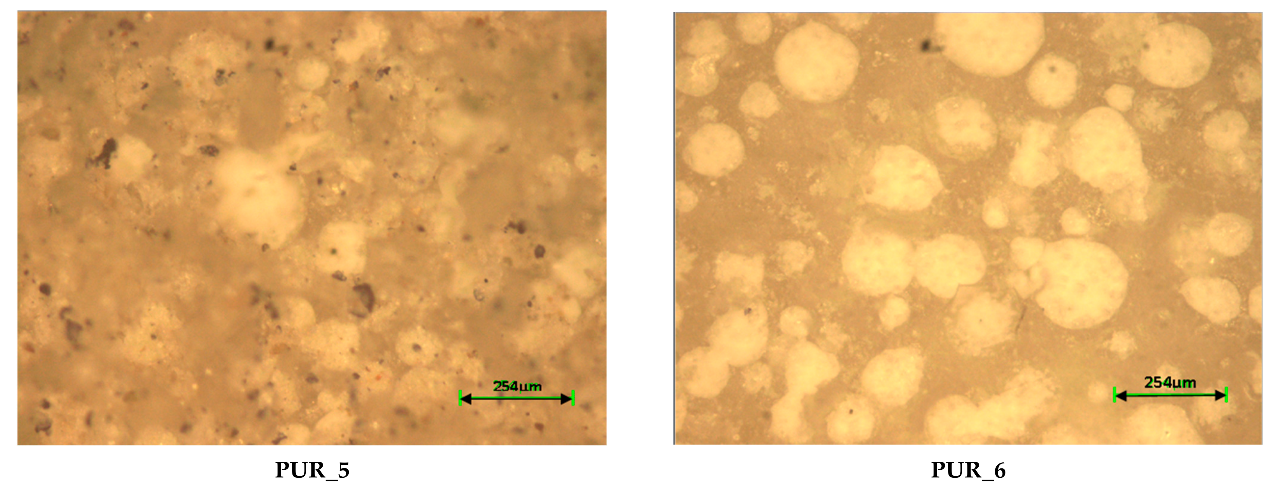 Applsci 12 02206 g011b Applsci 12 02206 g011b