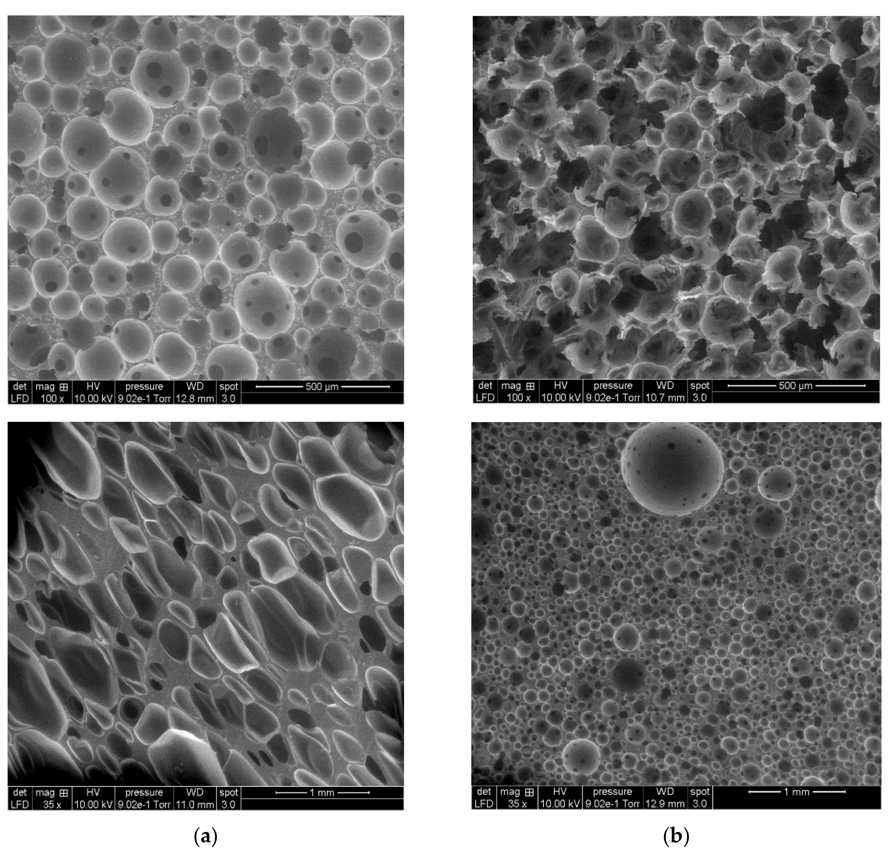 Applsci 12 02206 g015 Applsci 12 02206 g015