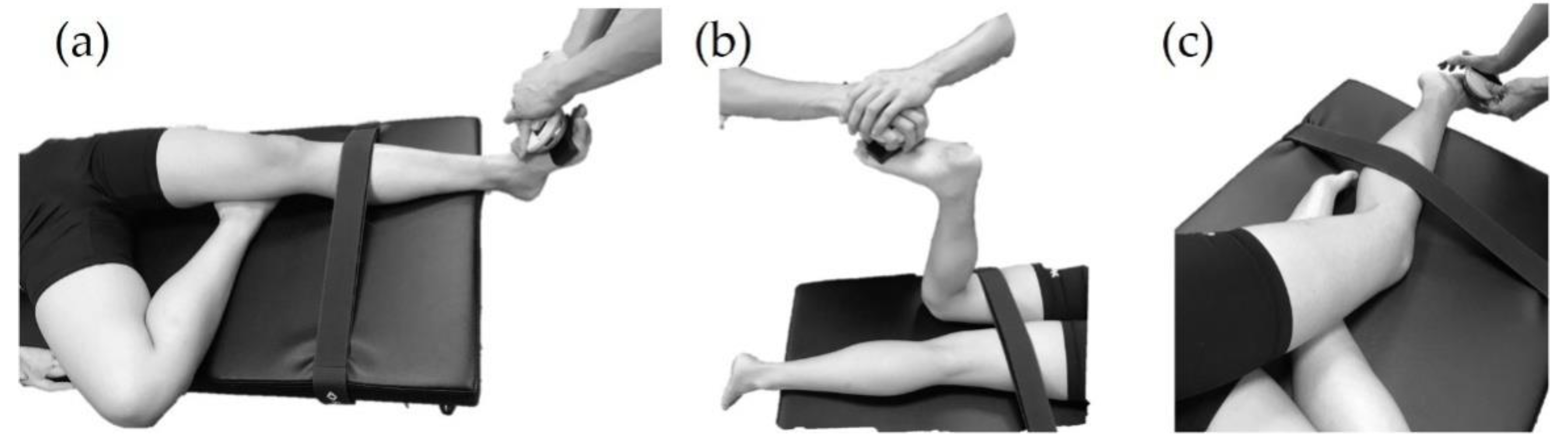 Applsci 12 02207 g002 550